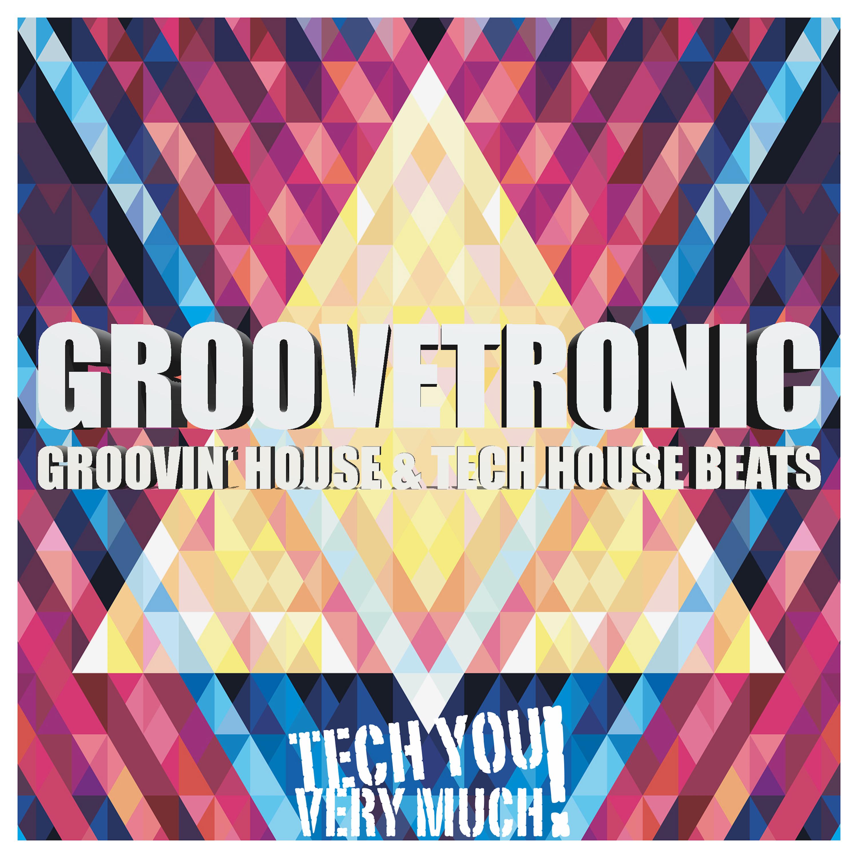 Groovetronic (Groovin House & Tech House Beats)