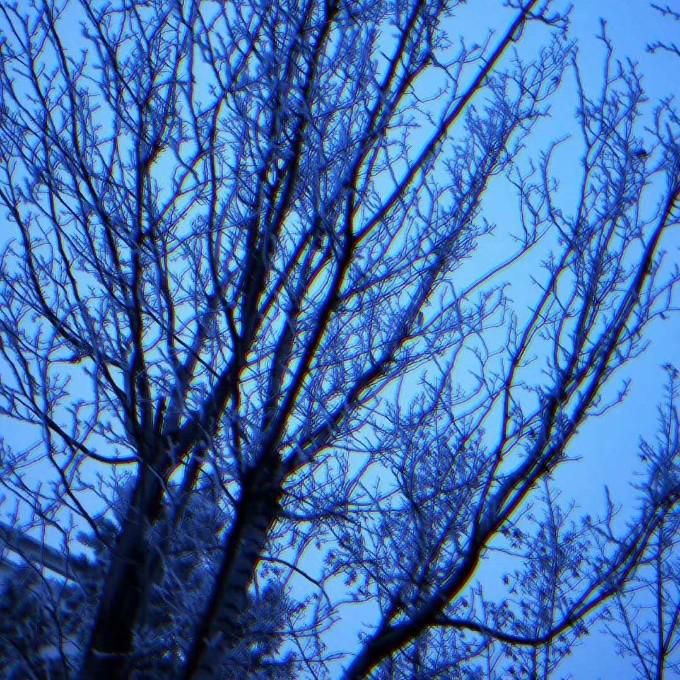 nue nian Sad thoughts