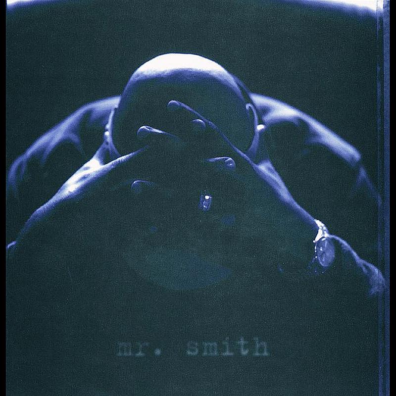 The Intro (LL Cool J / Mr. Smith) - Skit