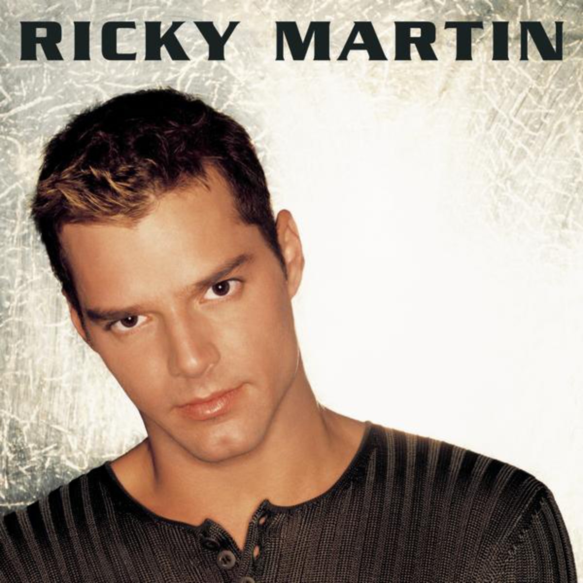 Private Emotion - Ricky Martin & Meja