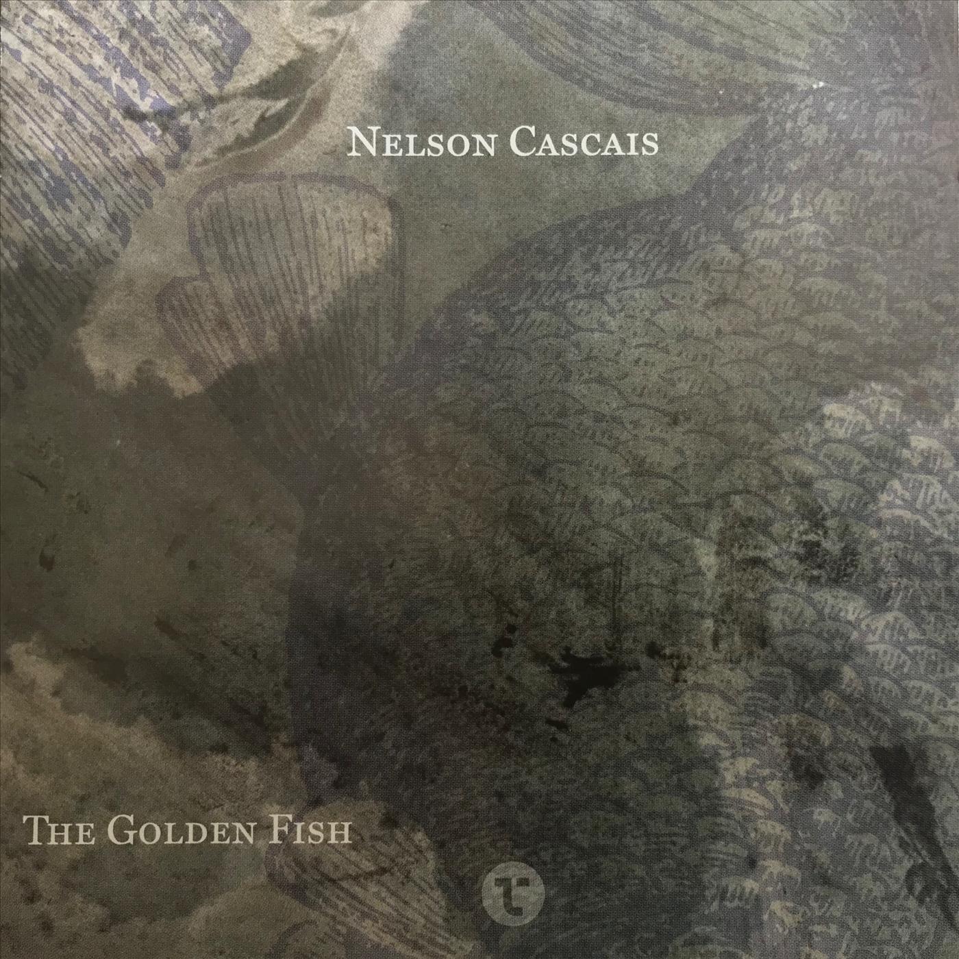 Mensagem ao Contra rio