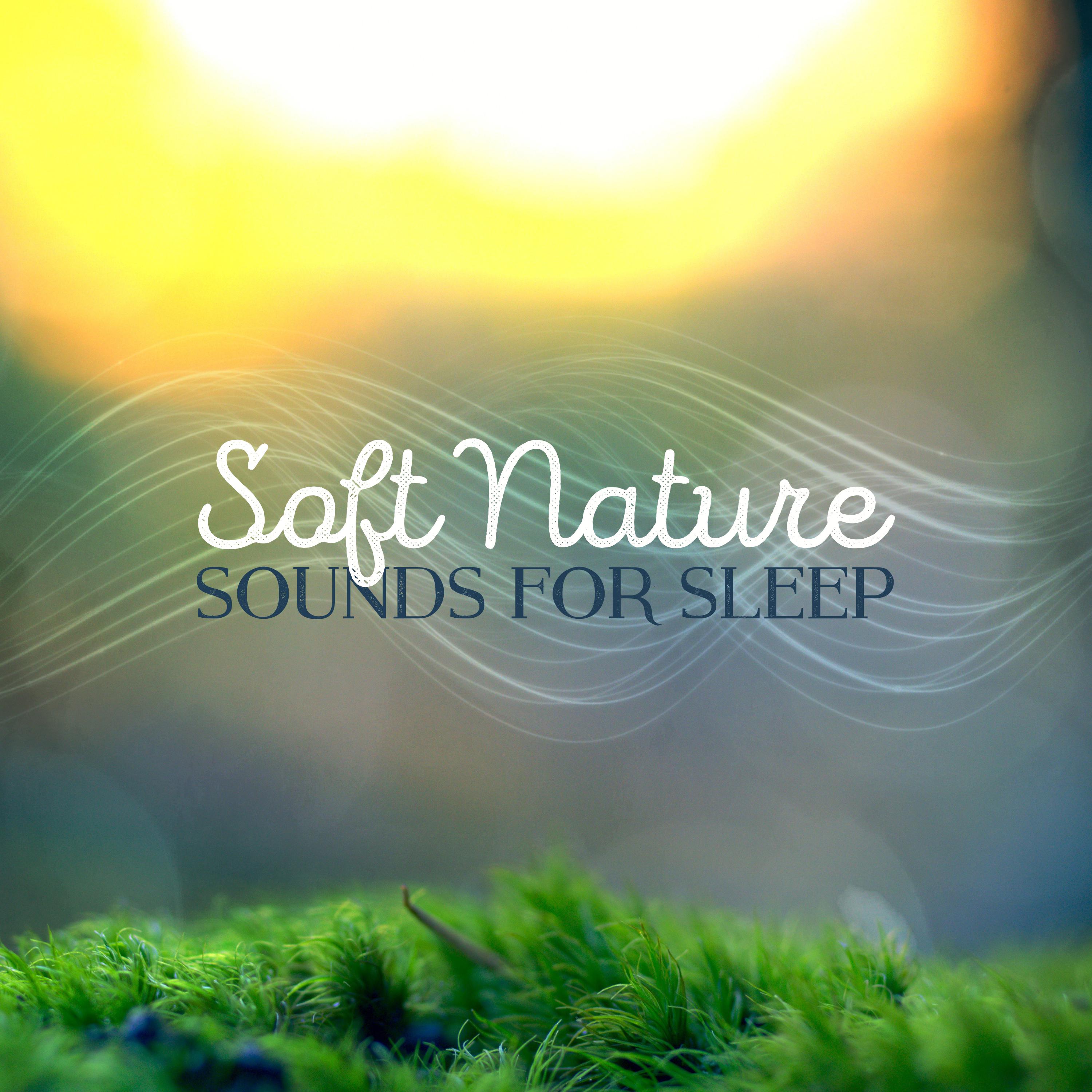 Soft Nature Sounds for Sleep