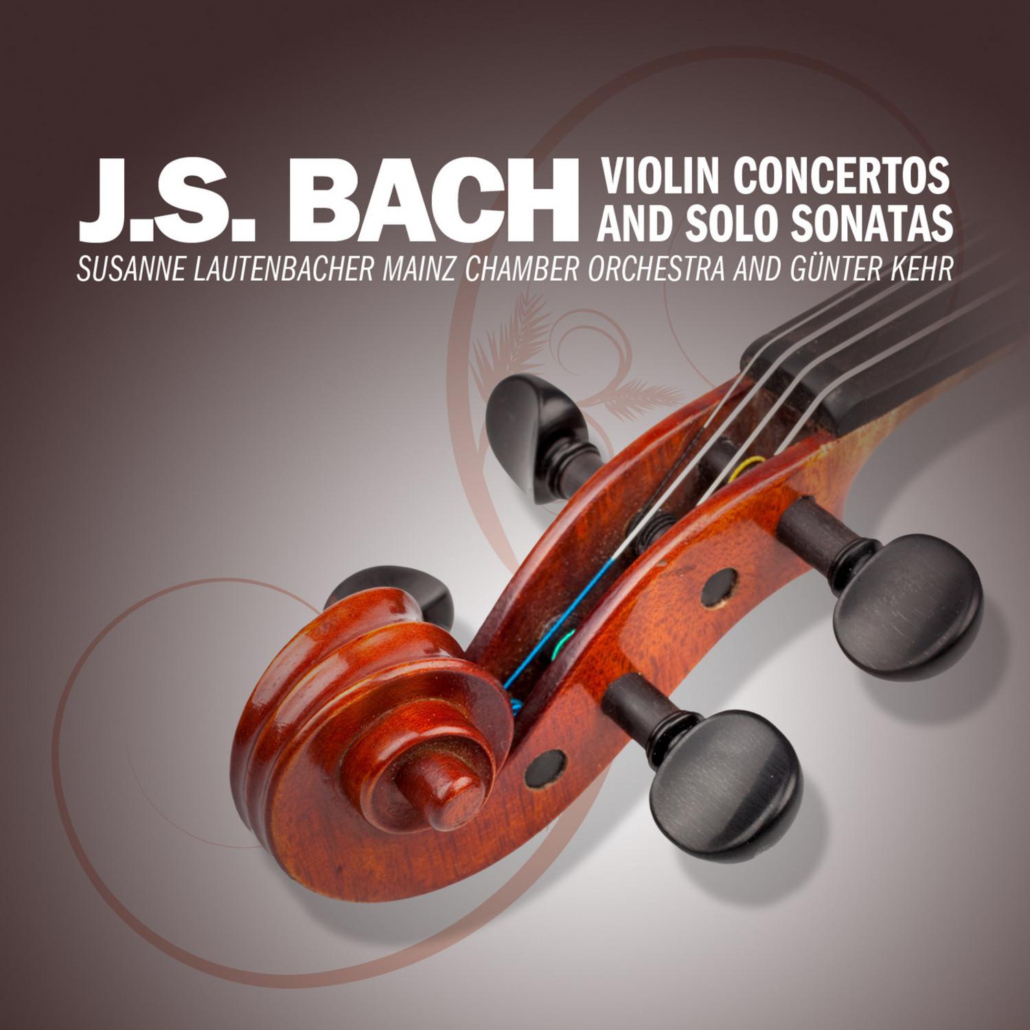Concerto No. 1 in A Minor for Violin and Strings, BWV 1041: I. Allegro moderato