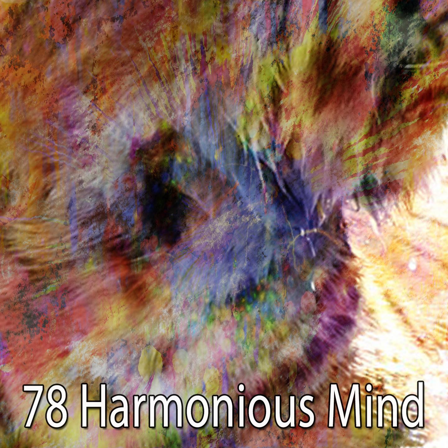 78 Harmonious Mind
