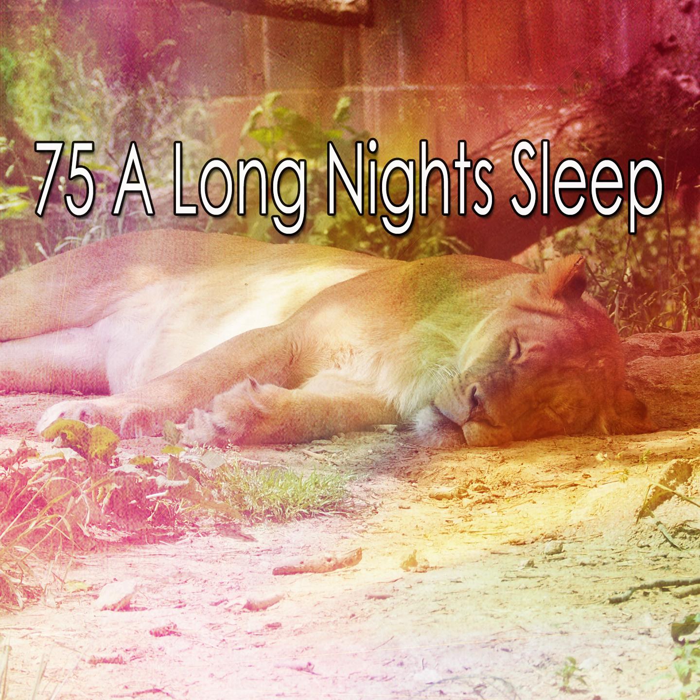75 A Long Nights Sleep