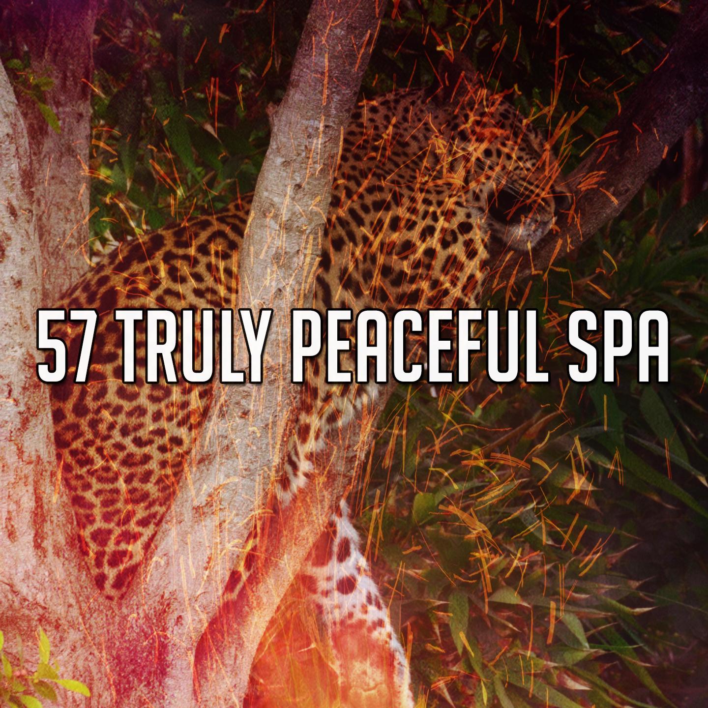 57 Truly Peaceful Spa