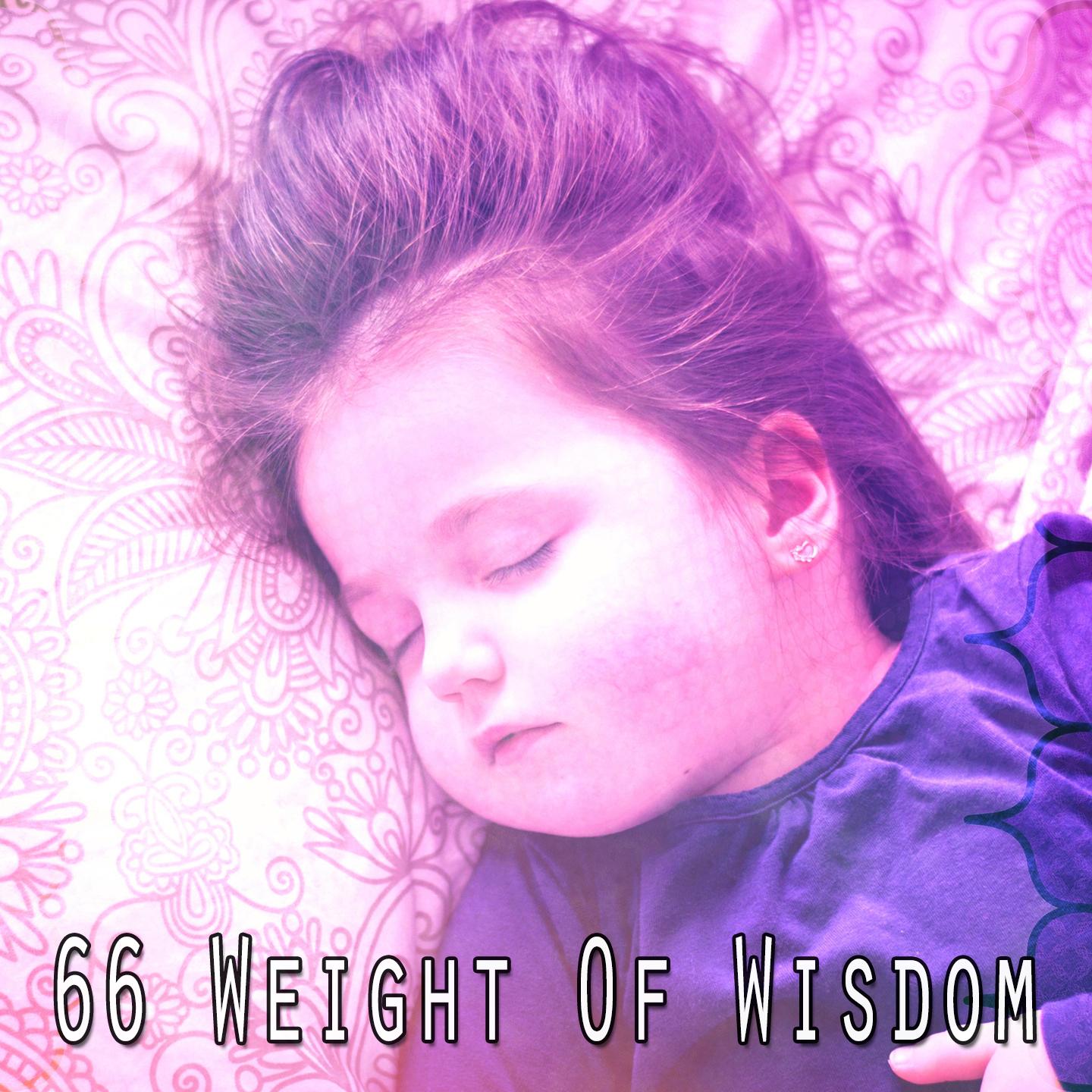 66 Weight of Wisdom