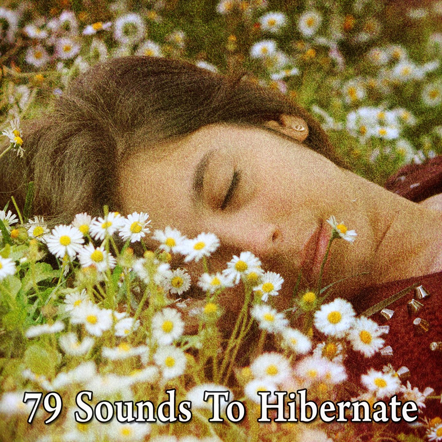 79 Sounds to Hibernate