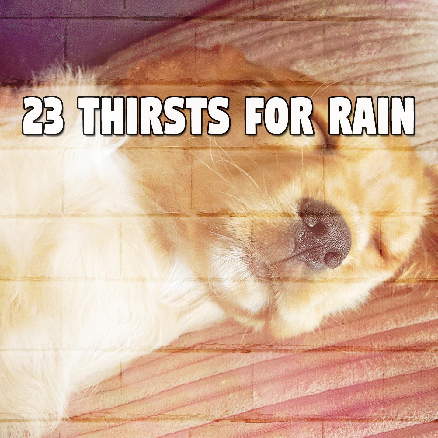 23 Thirsts for Rain