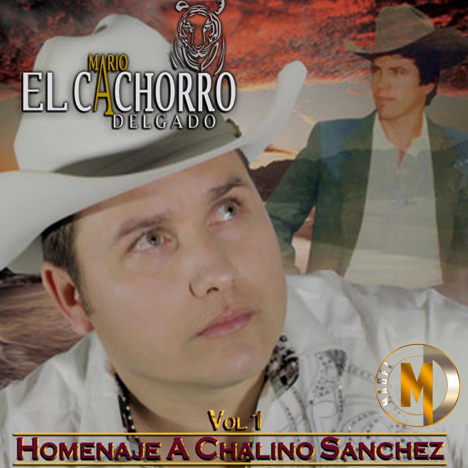 Homenaje a Chalino Sanchez, Vol. 1