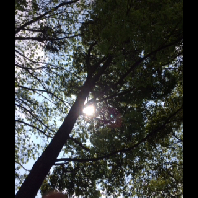 xu wei zhu yi zhe de yan tou