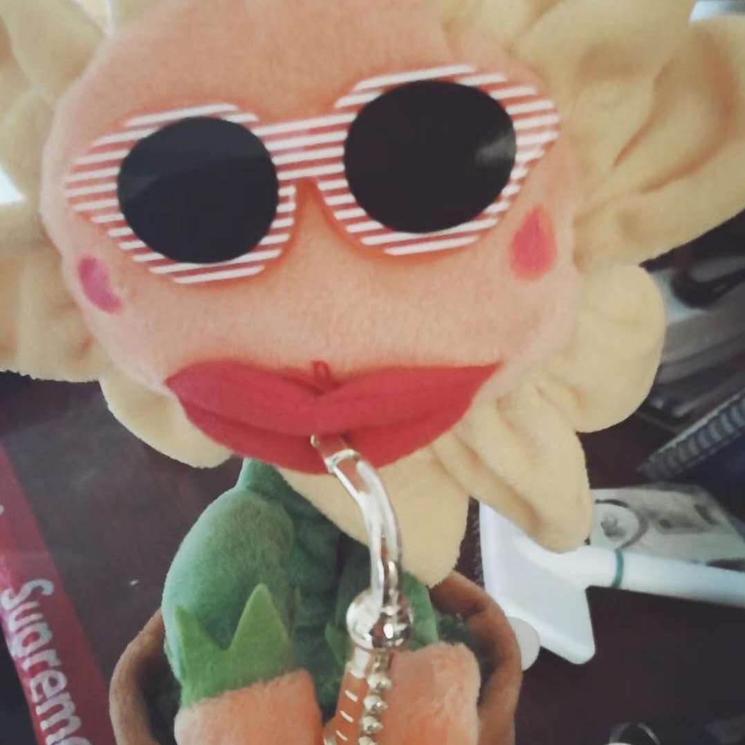 zhe shi liang shou kuai le de ge