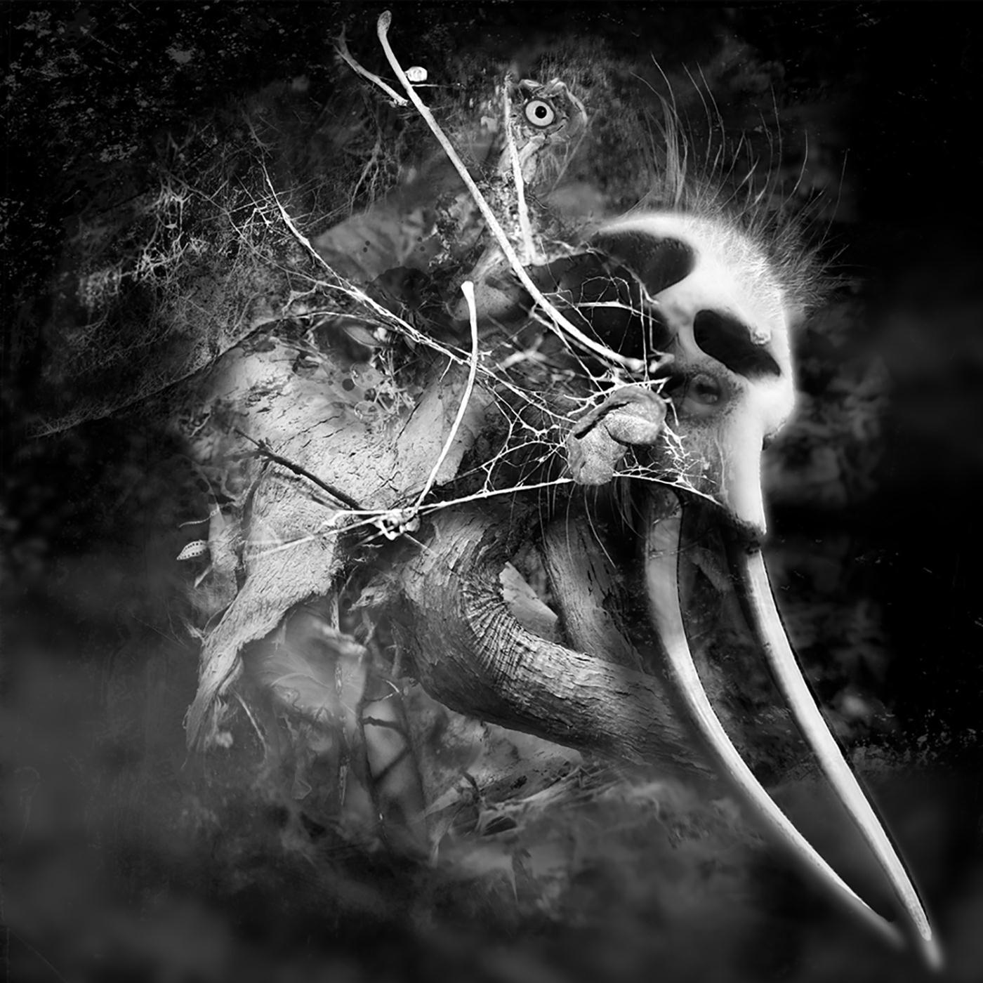 There Are No Lullabies