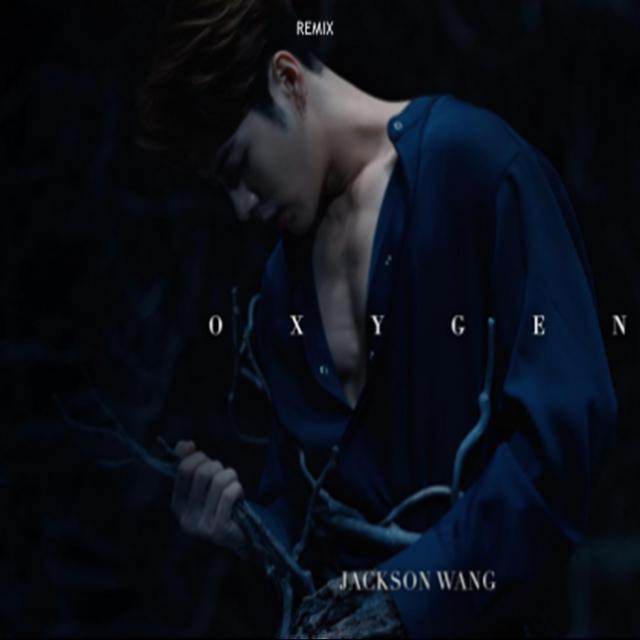 OxygenREMIX wang jia er