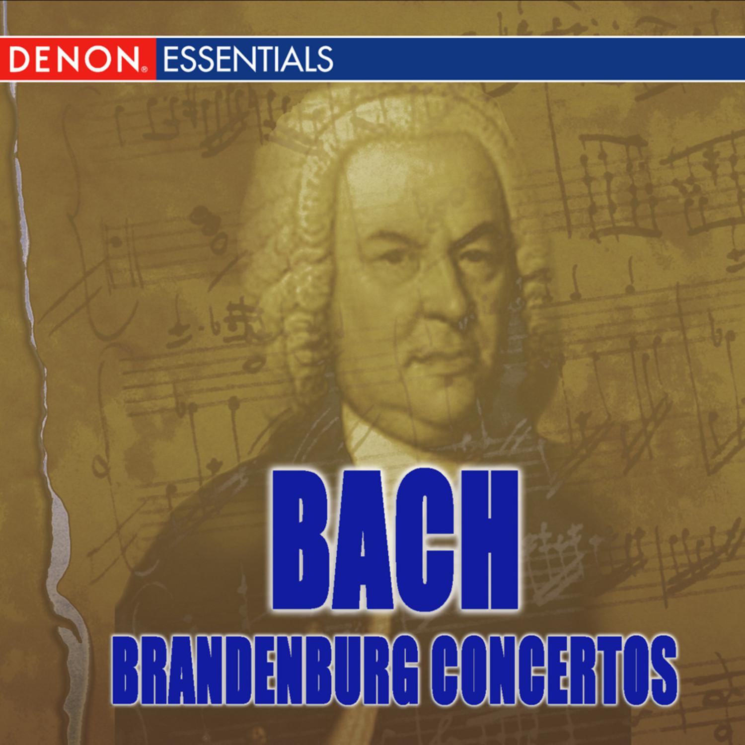 Brandenburg Concerto No. 4 in G Major BWV 1049: I. Allegro