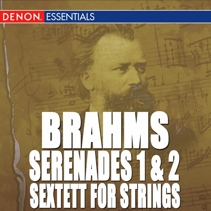 String Sextet No. 1 in B-Flat Major, Op. 18: II. Andante, ma Moderato