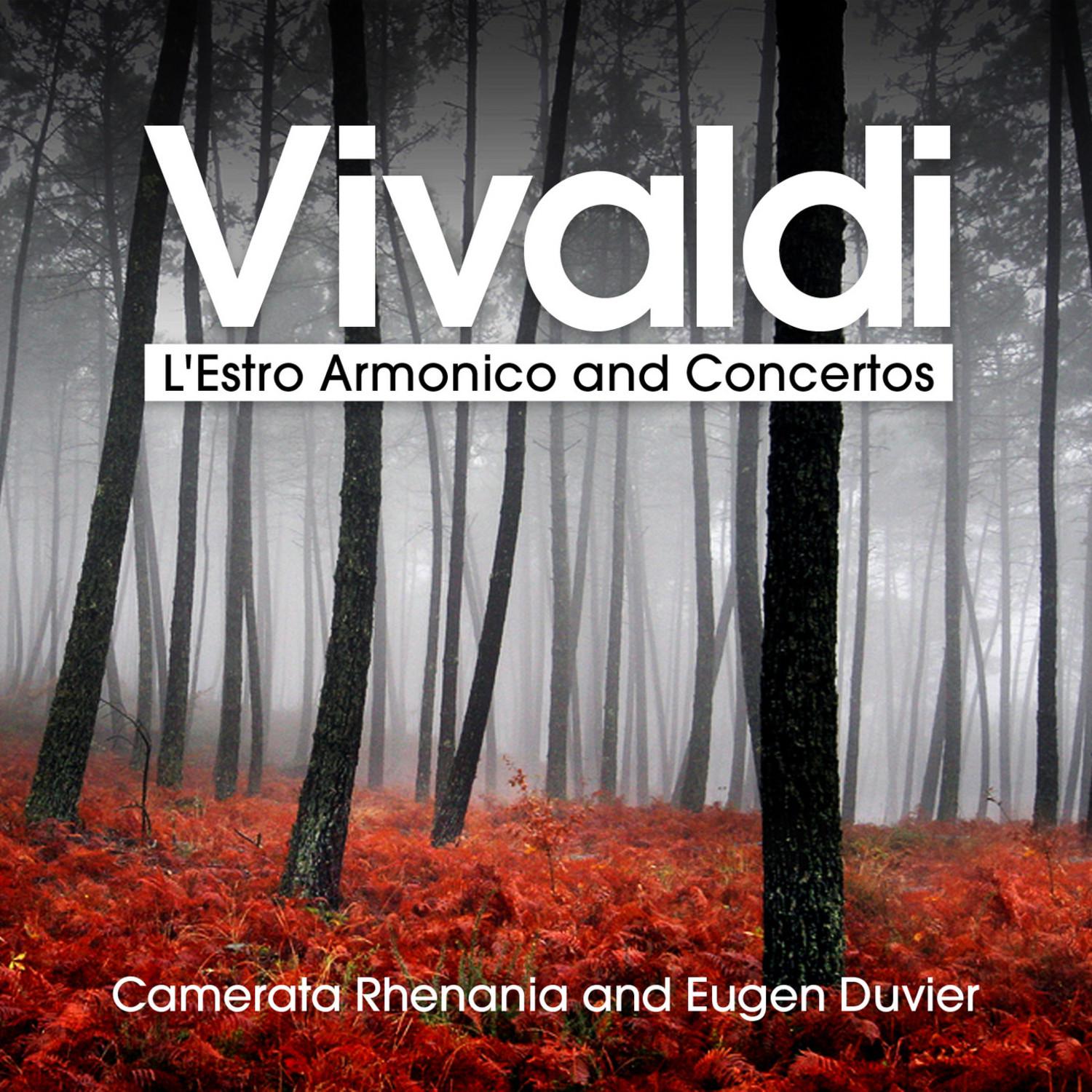 L'Estro Armonico, Op. 3 - Concerto No. 8 in A Minor for 2 Violins and Strings, RV 522: III. Allegro