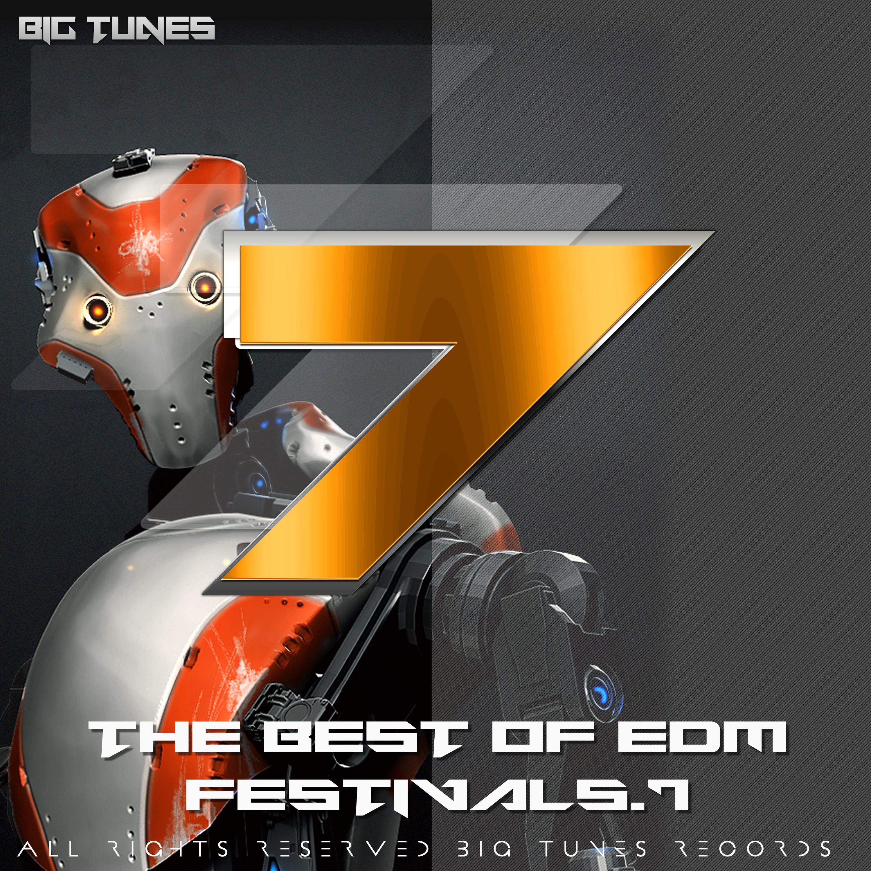 The Best Of EDM Festivals.7