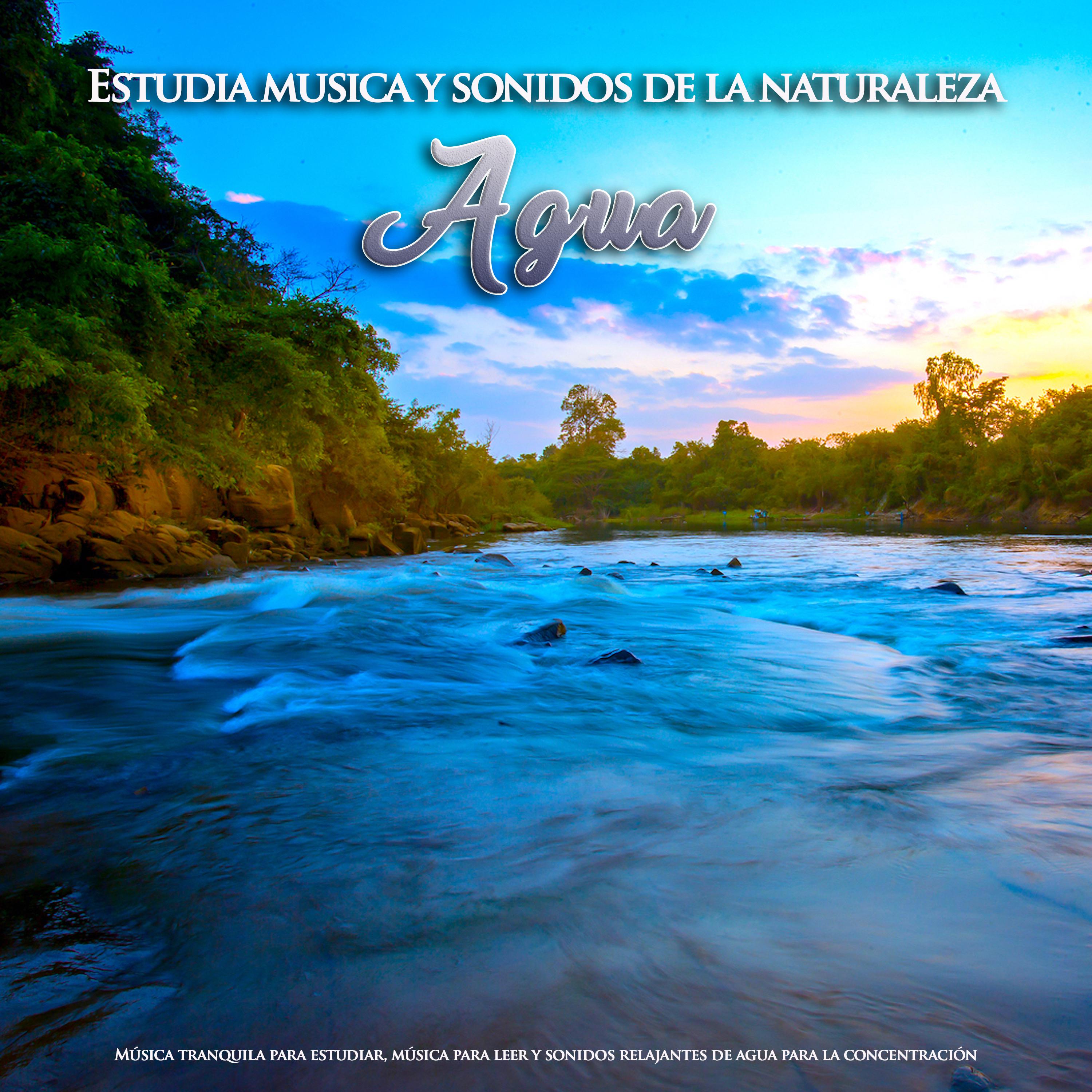 Estudia musica y sonidos de la naturaleza: Mu sica tranquila para estudiar, mu sica para leer y sonidos relajantes de agua para la concentracio n
