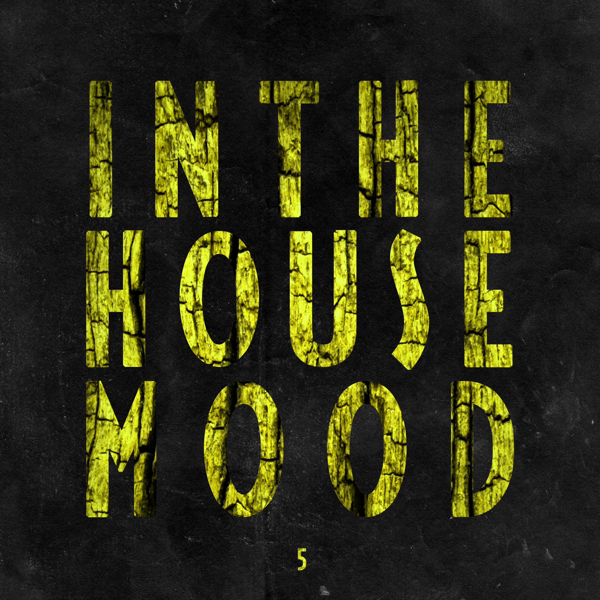 In the House Mood, Vol. 5