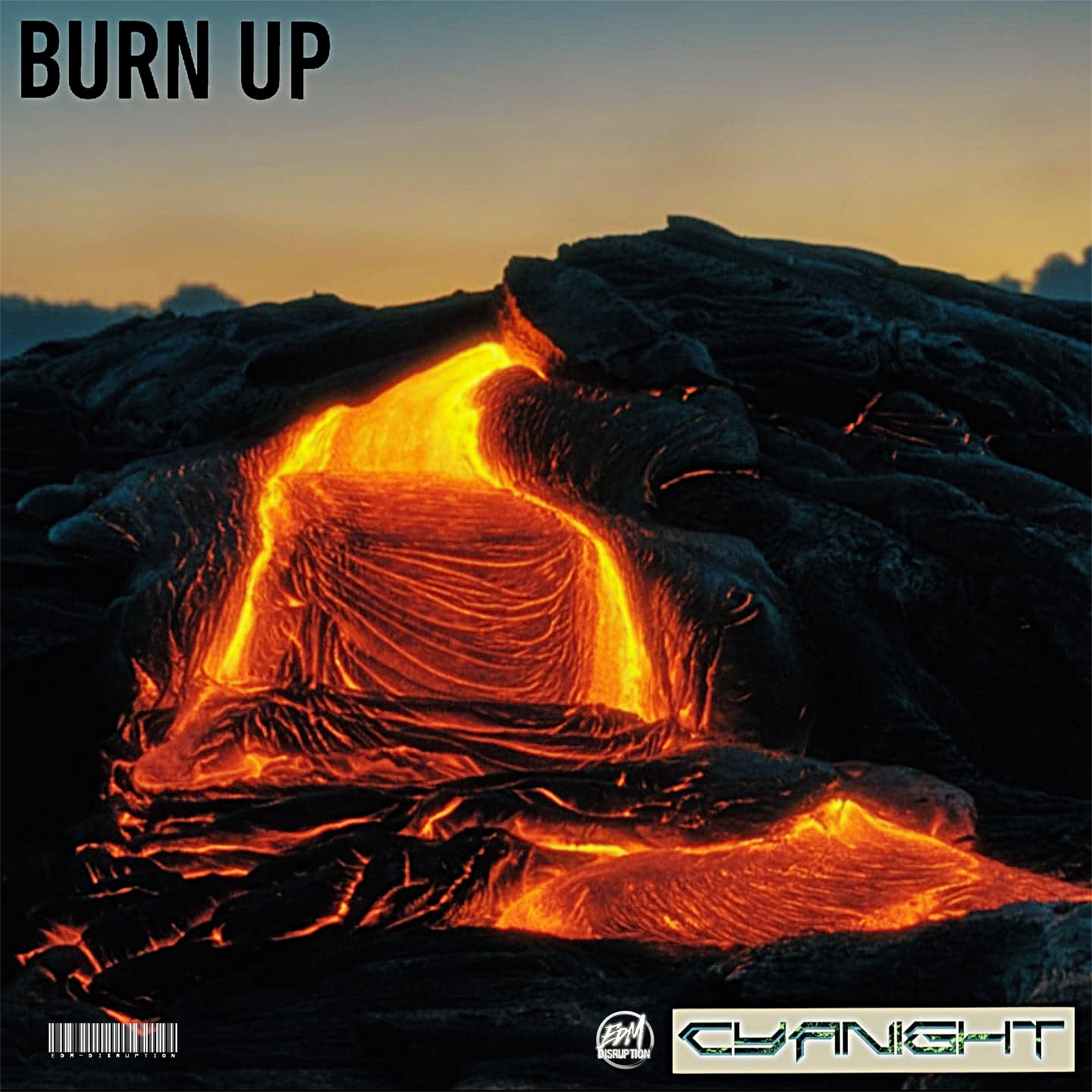 Burn Up
