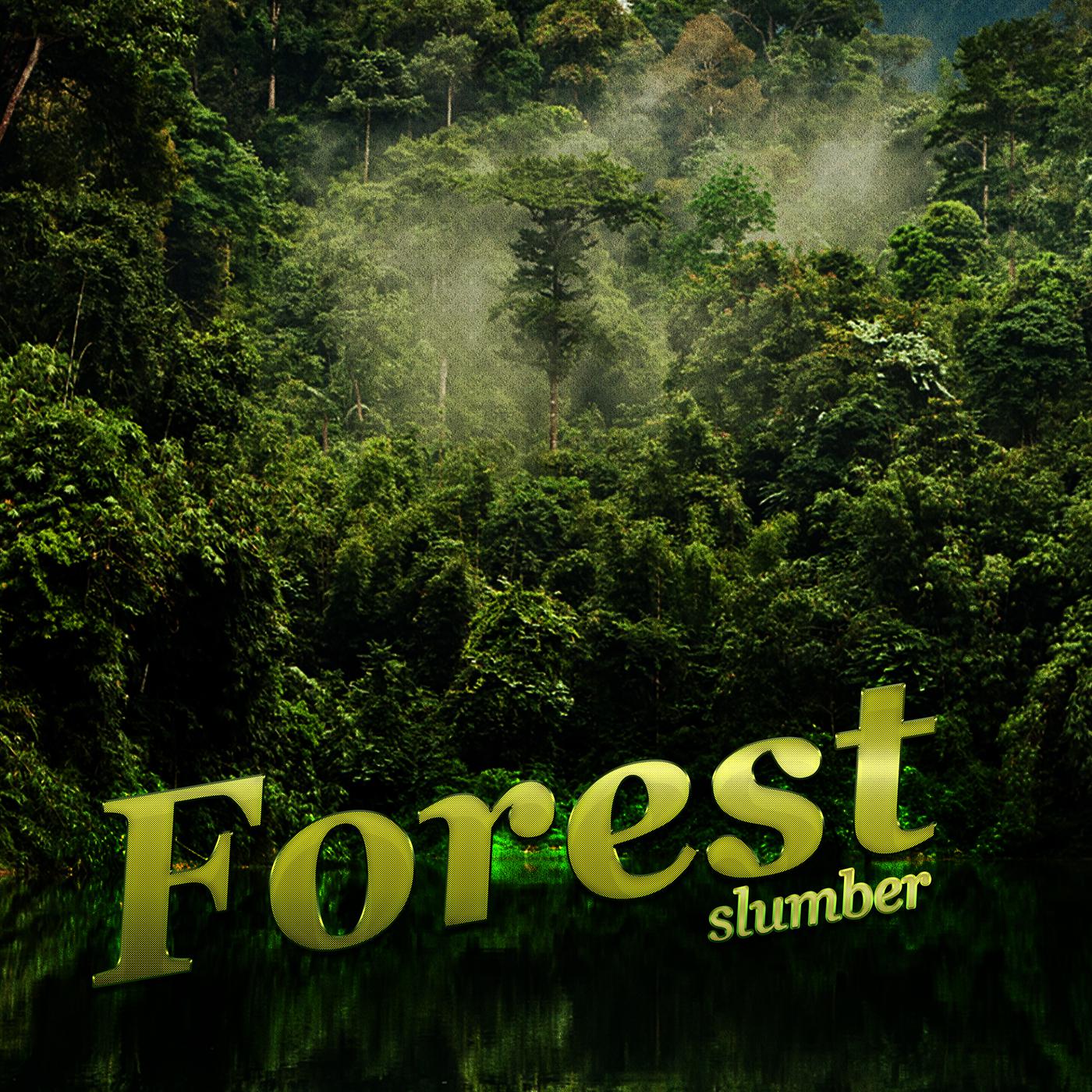 Forest Slumber