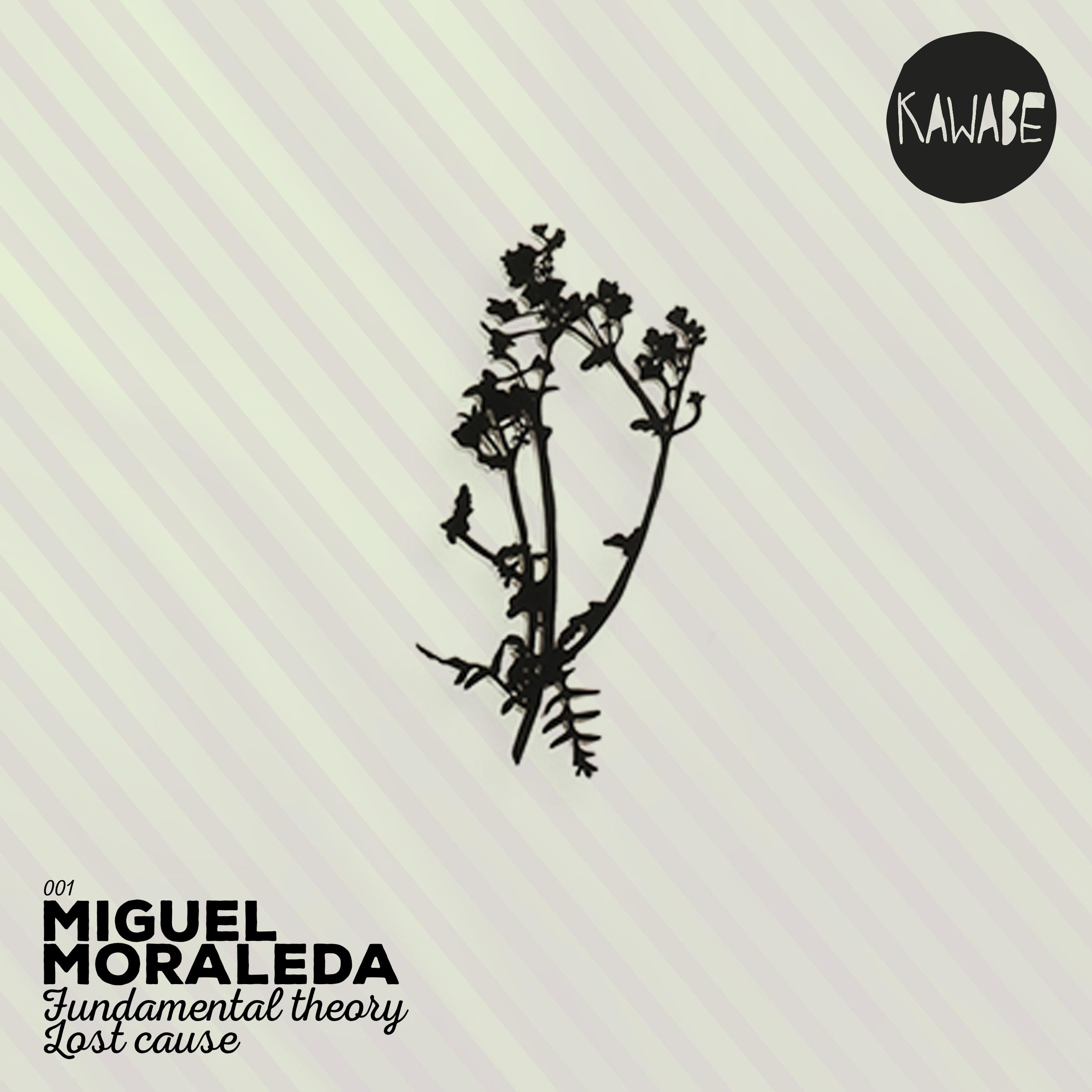 Fundamenthal Theory / Lost Cause