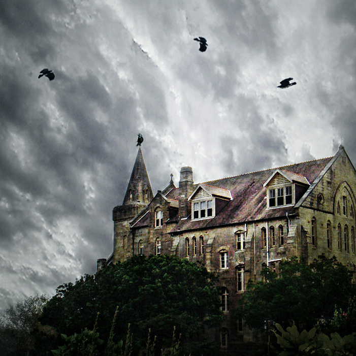 bu hui fei de zhen tan