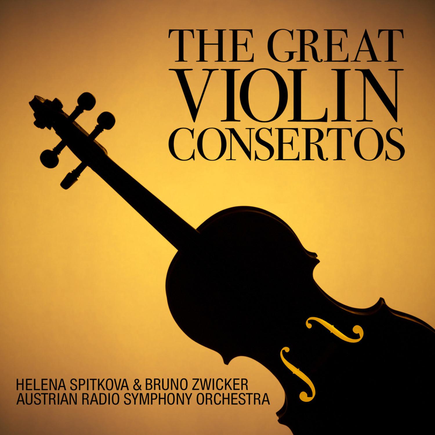 Concerto No. 2 in G Minor for Violin and Orchestra, Op. 63: I. Allegro moderato