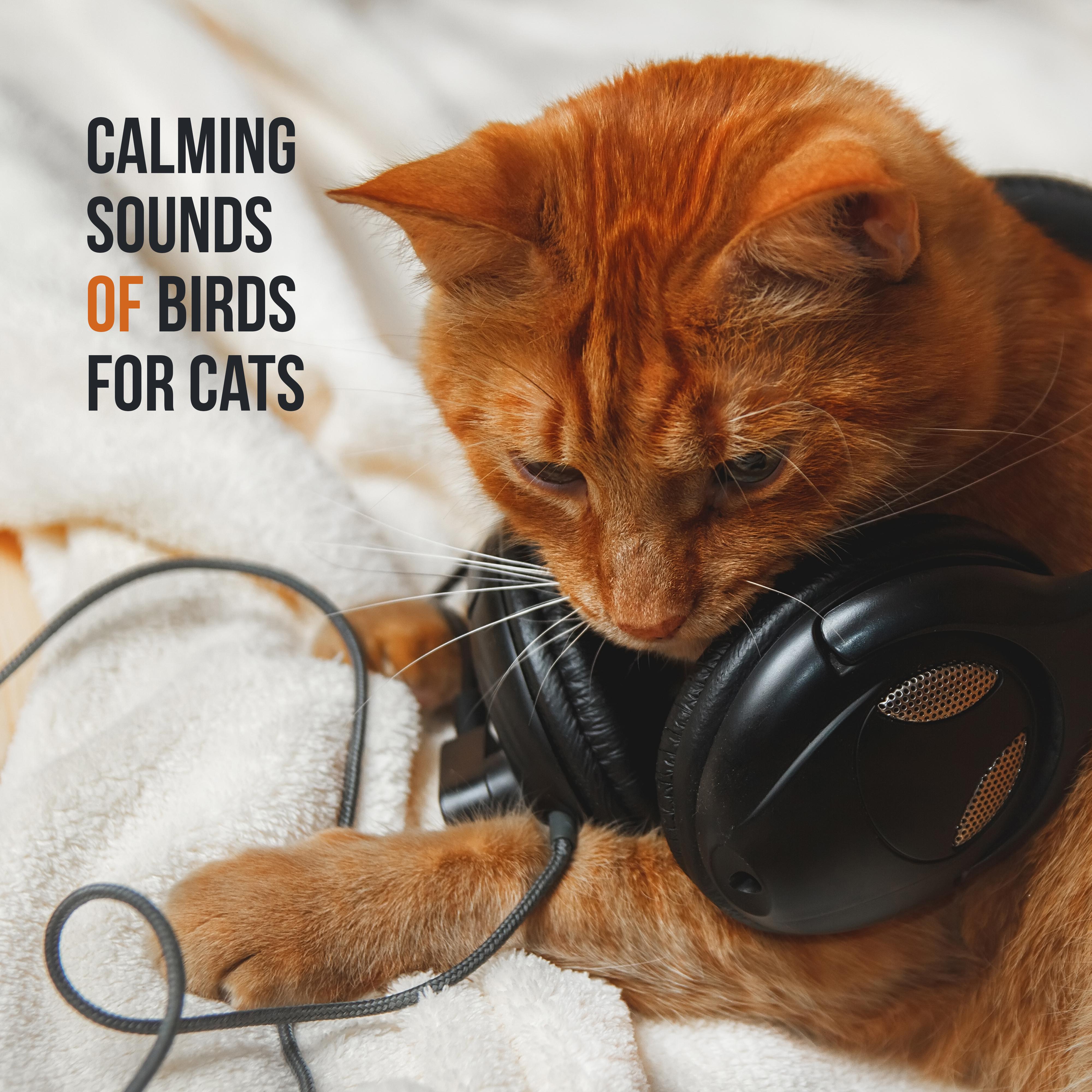 Calming Sounds of Birds for Cats  15 Relaxing Sounds for Pets, Music for Cats, Deep Harmony, Nature Sounds, Relax  Sleep, Calm Down