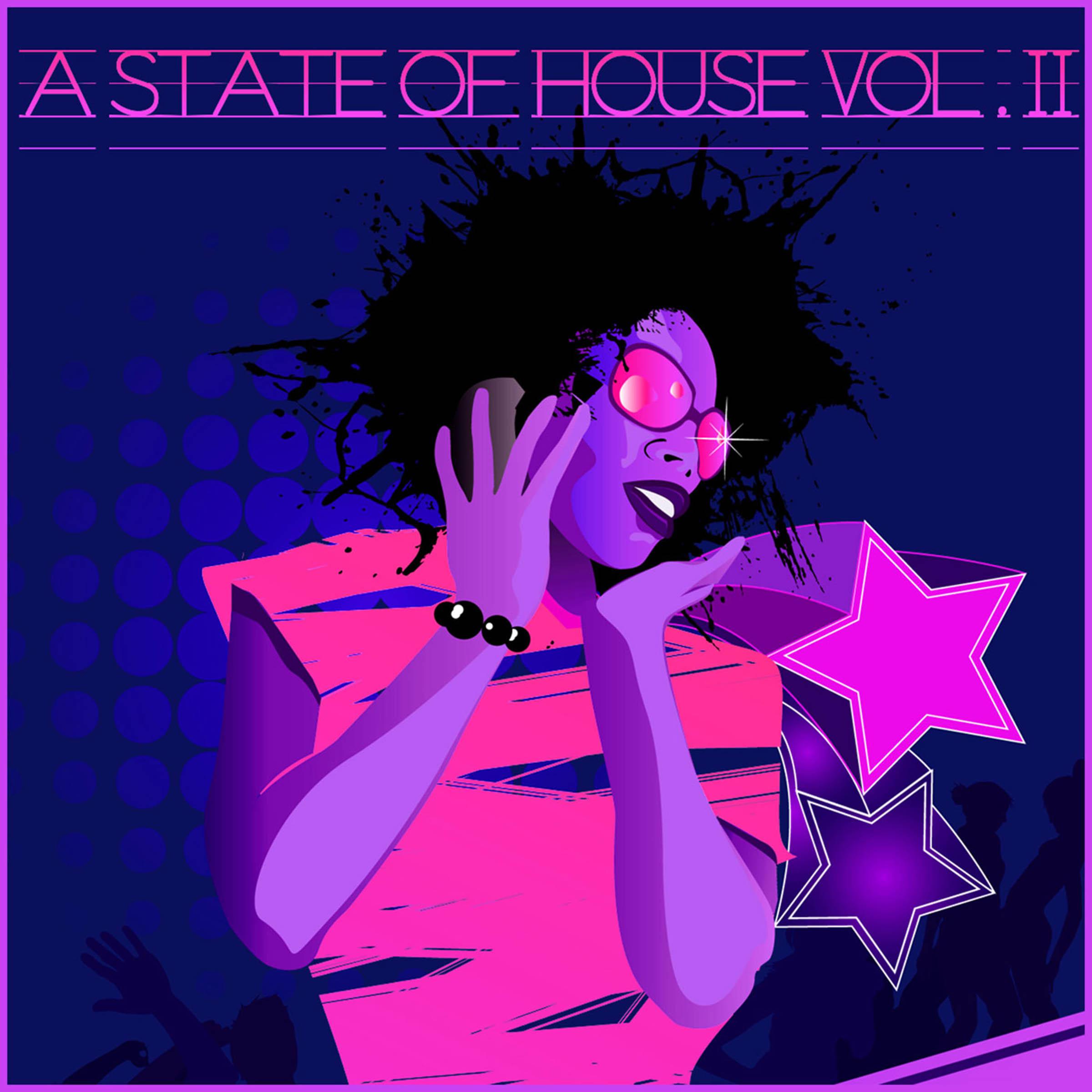 A State of House, Vol. 11
