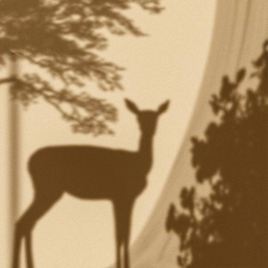 wo you xiang ni le demo