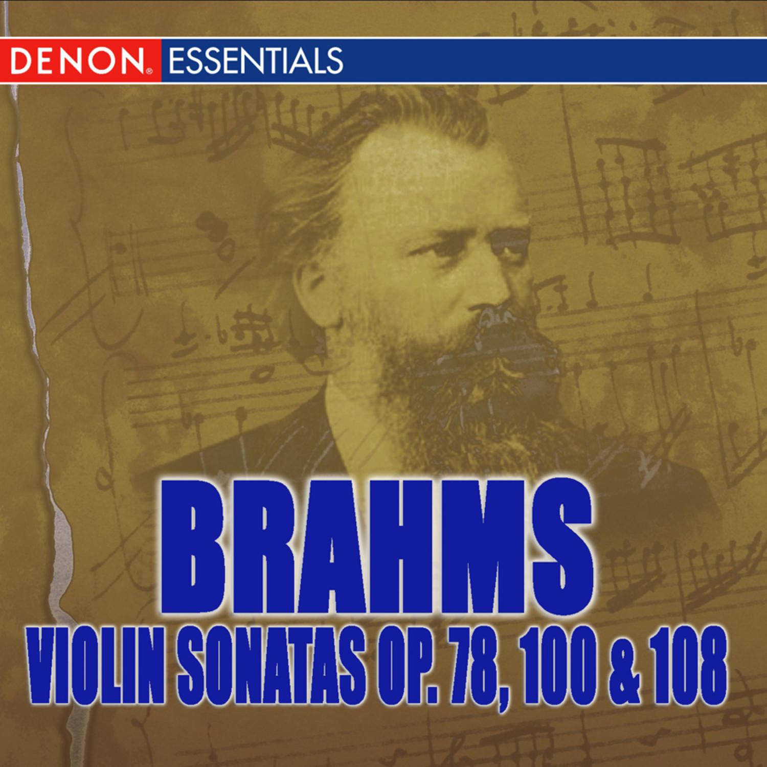 Violin Sonata No. 1, Op. 78: I. Vivace ma non troppo