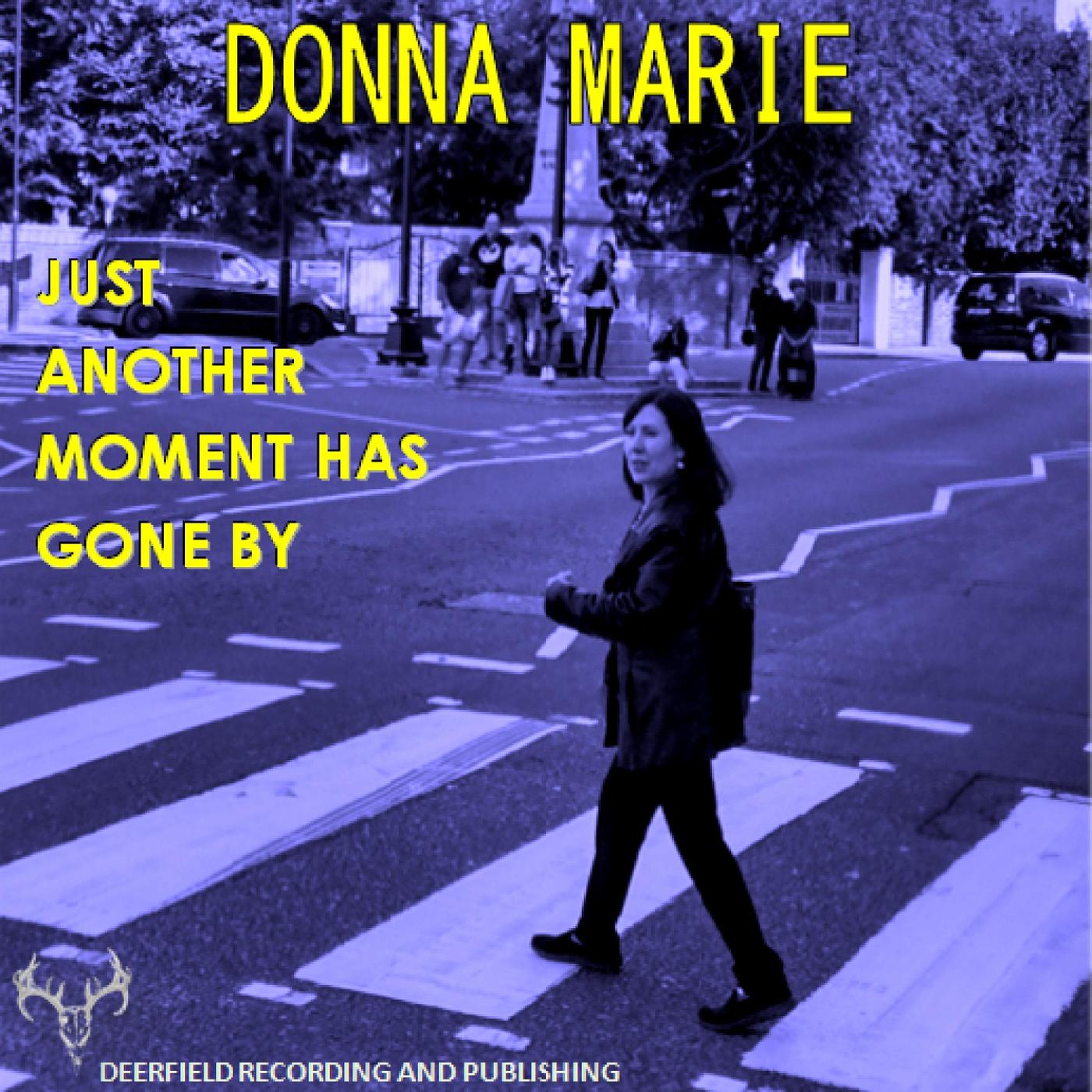 Just Another Moment Has Gone By