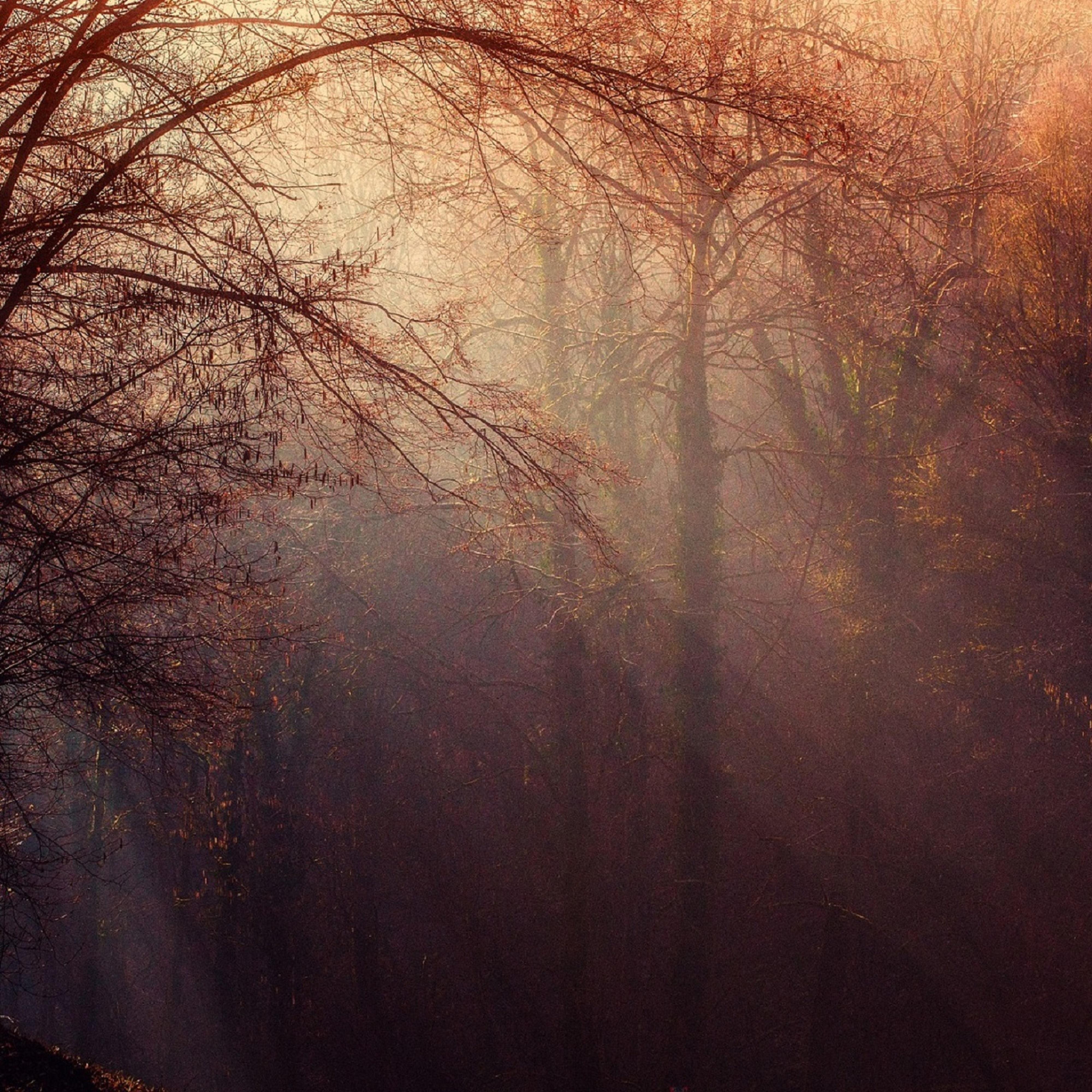 ASMR A Magnificent Waterfall Sound to Organize Your Thoughts
