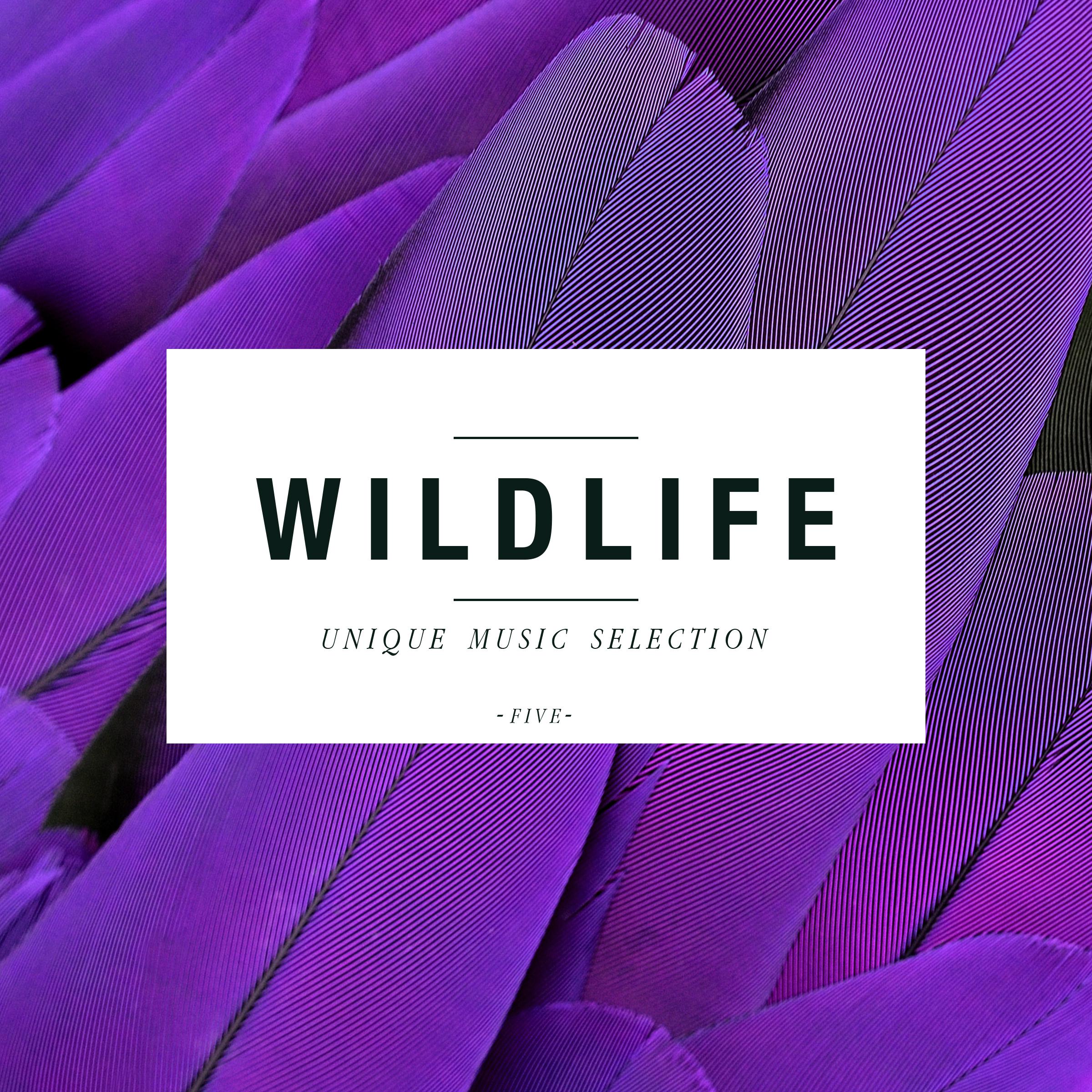 Wildlife - Unique Music Selection, Vol. 5