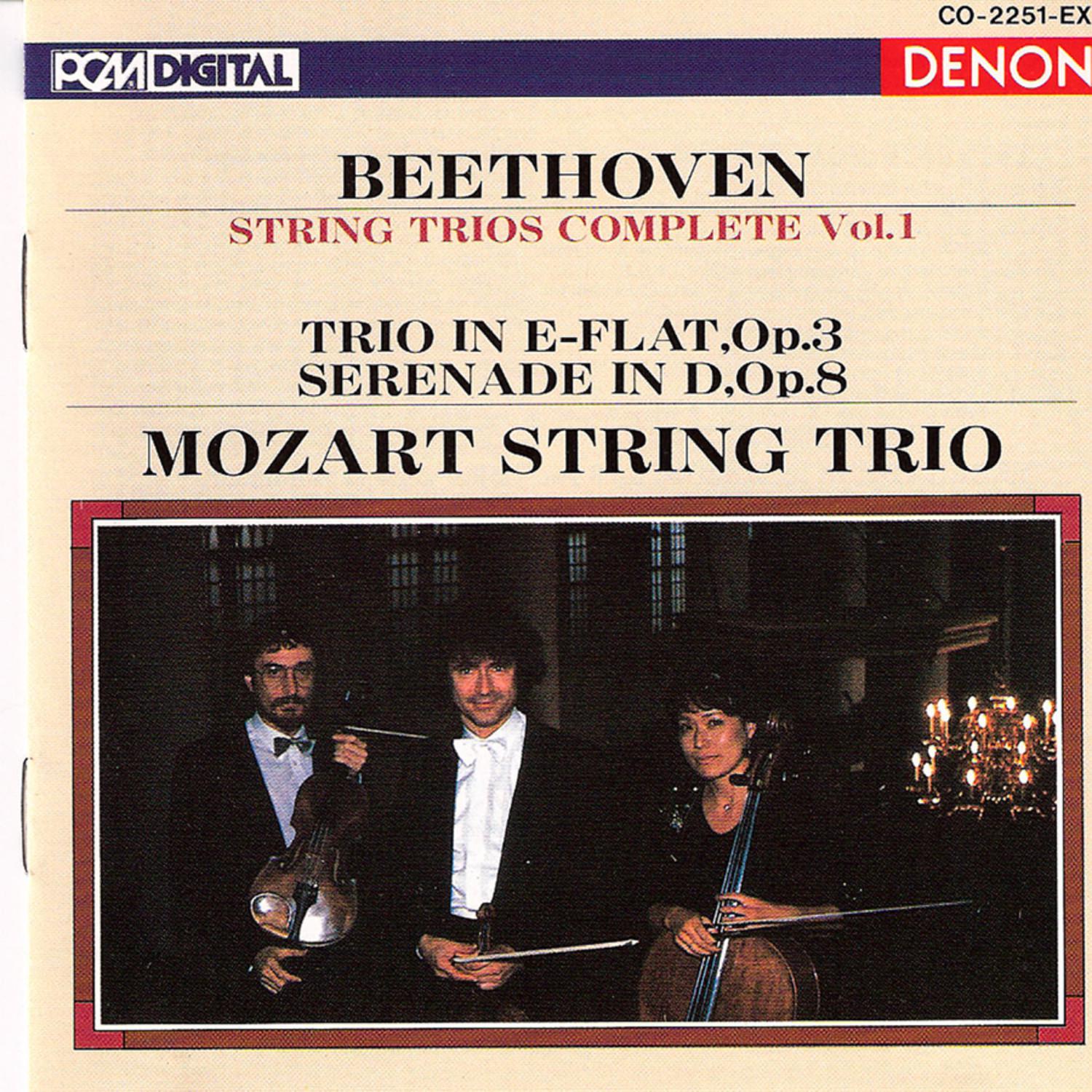 String Serenade, D Major, Op. 8: III. Menuetto; Allegretto