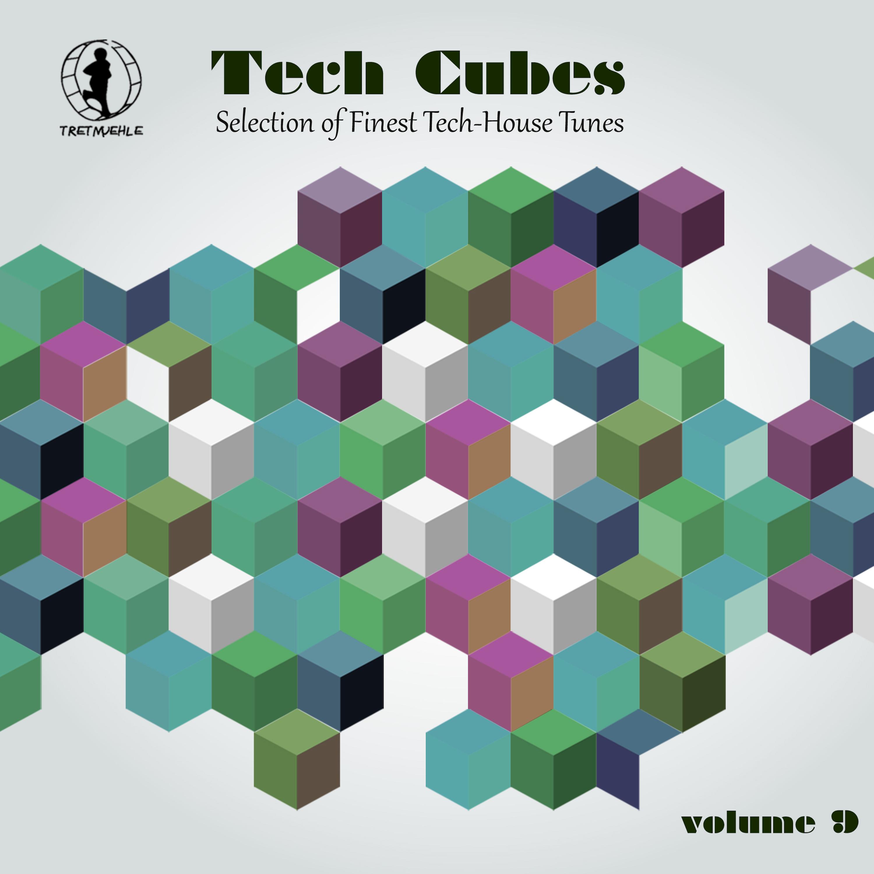 Tech Cubes, Vol. 9 - Selection of Finest Tech-House Tunes!