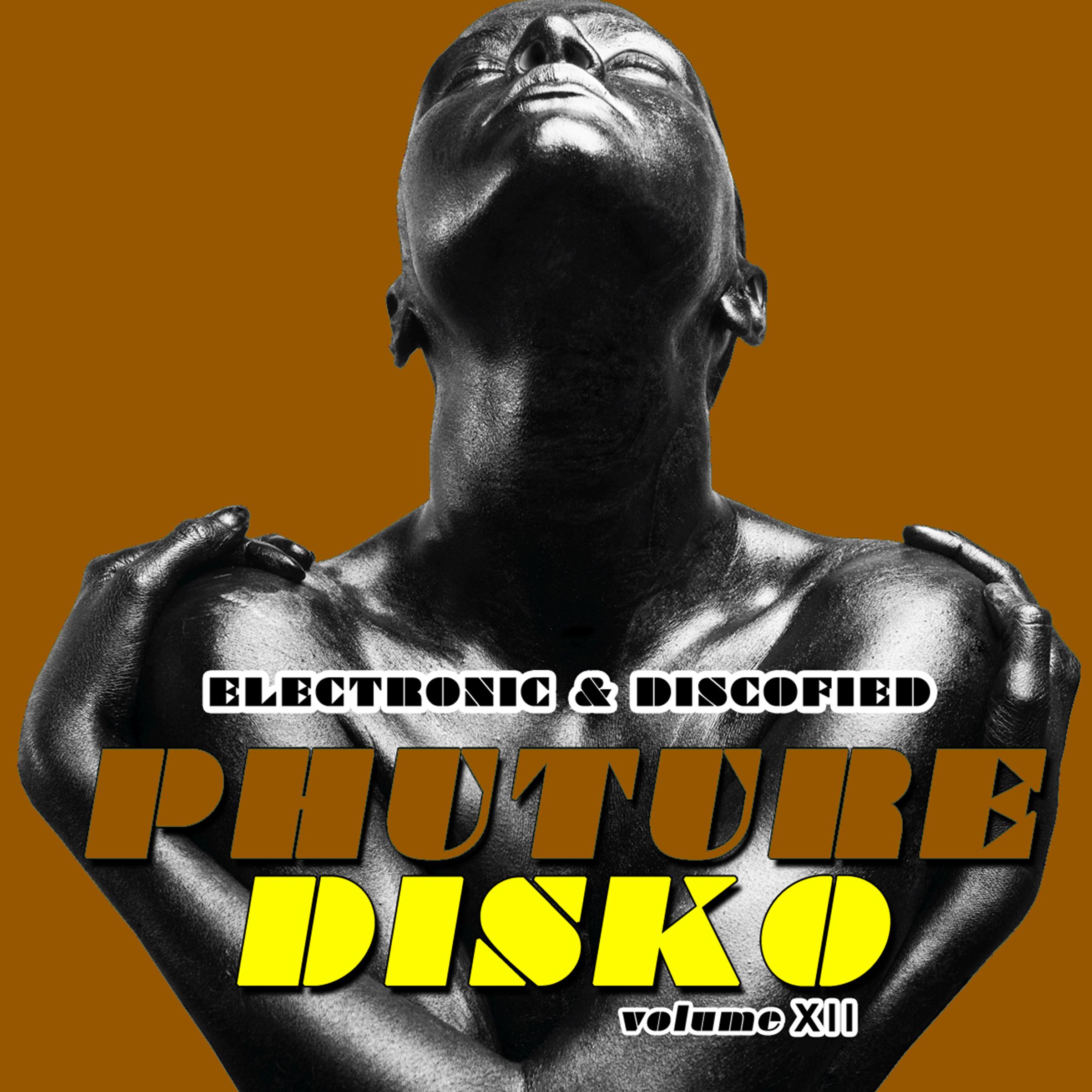Phuture Disko, Vol. 12 - Electronic & Discofied