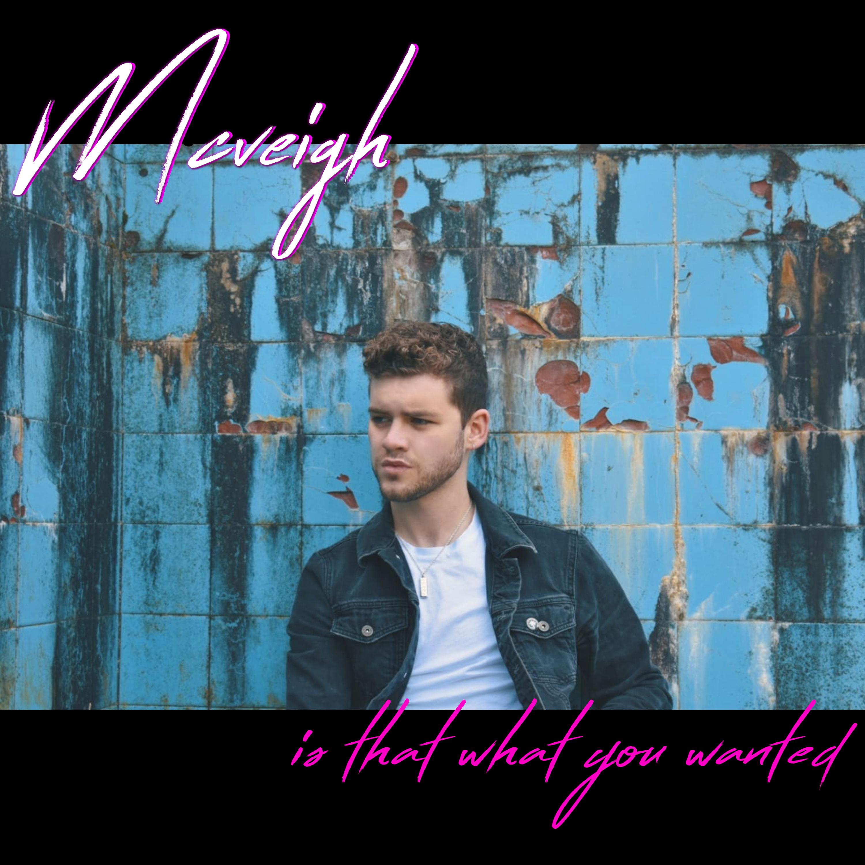 Is That What You Wanted?