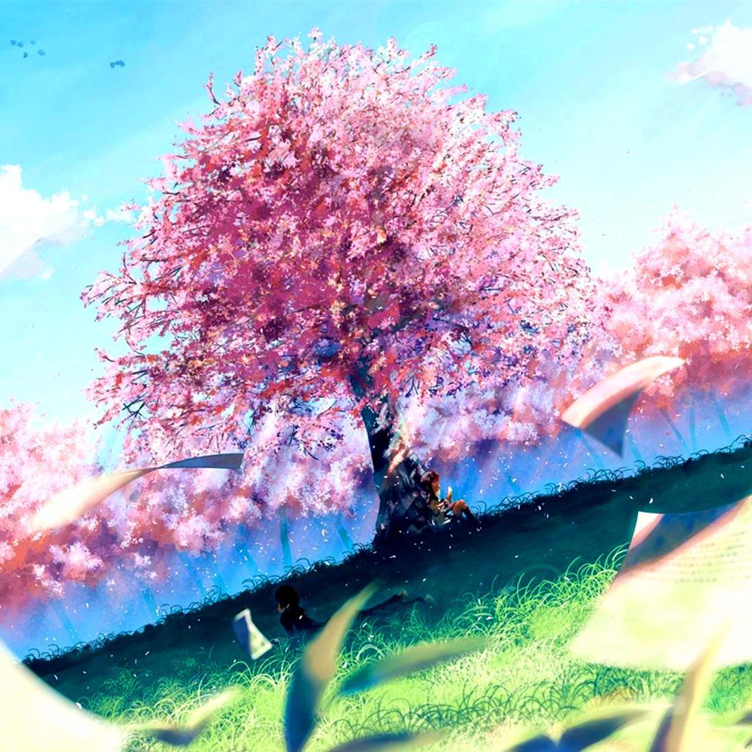 hua guo shi qi sui shao nian yan jiao de feng