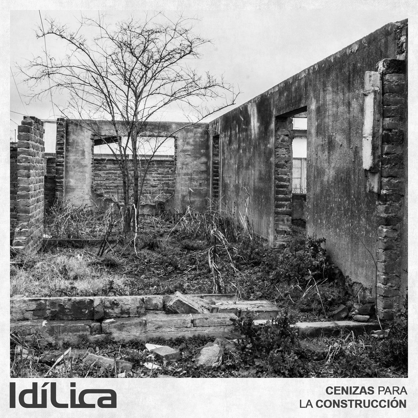 Cenizas para la Construccio n