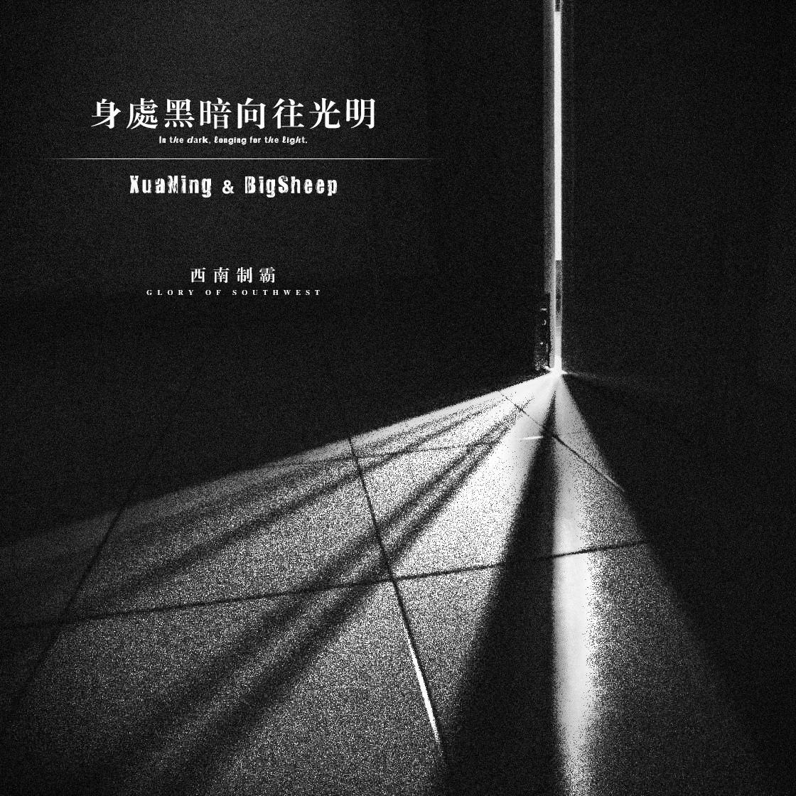 wo zai hei an li xiang wang zhe guang ming