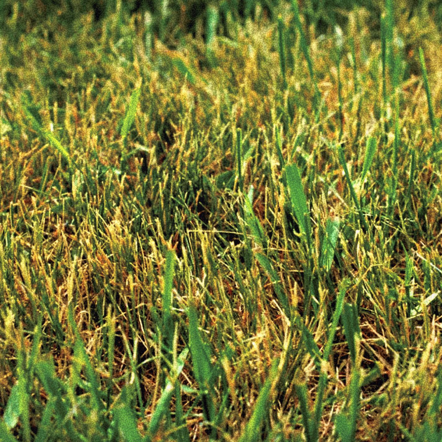 Memories of Brodies Pt. 1