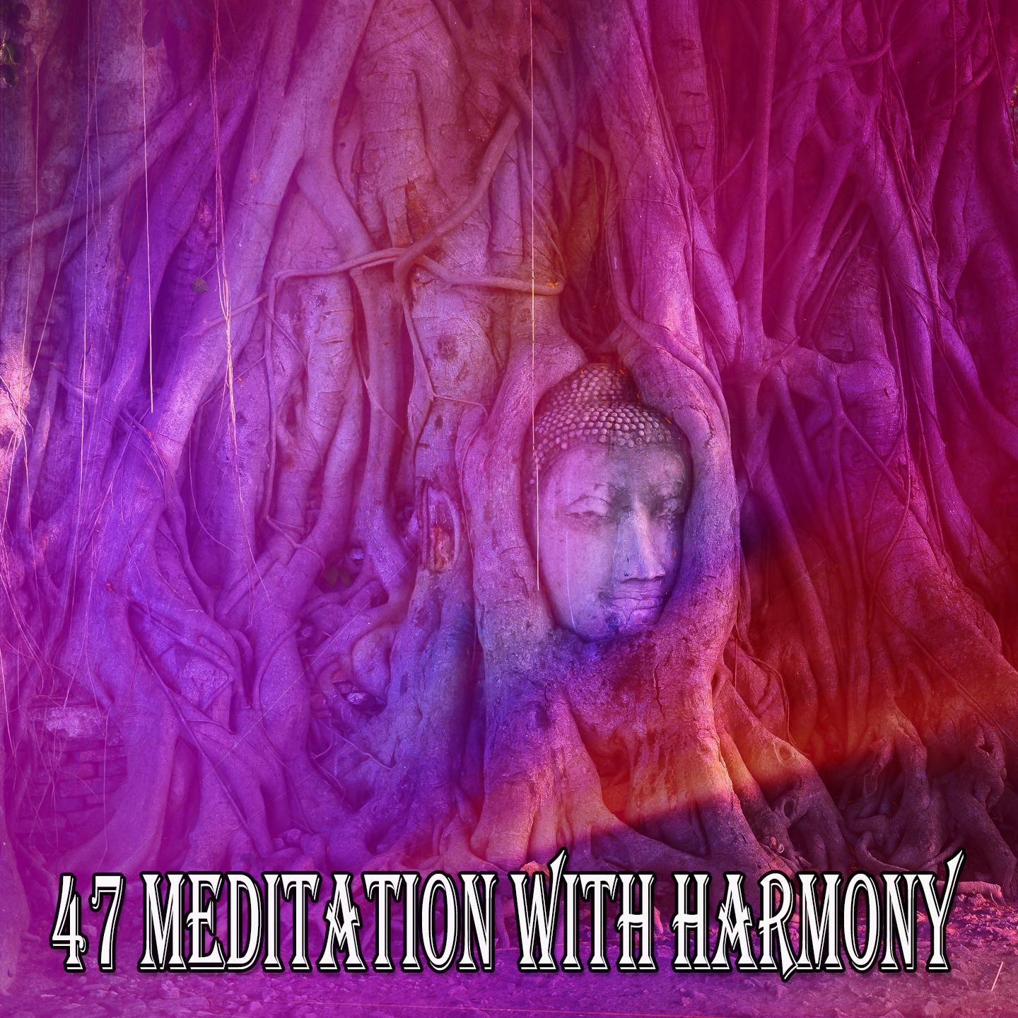 47 Meditation with Harmony