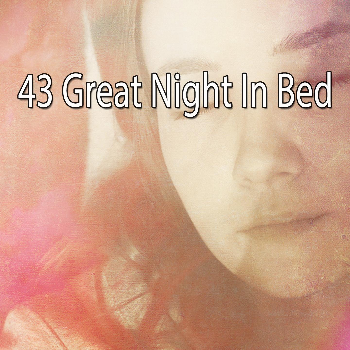 43 Great Night in Bed