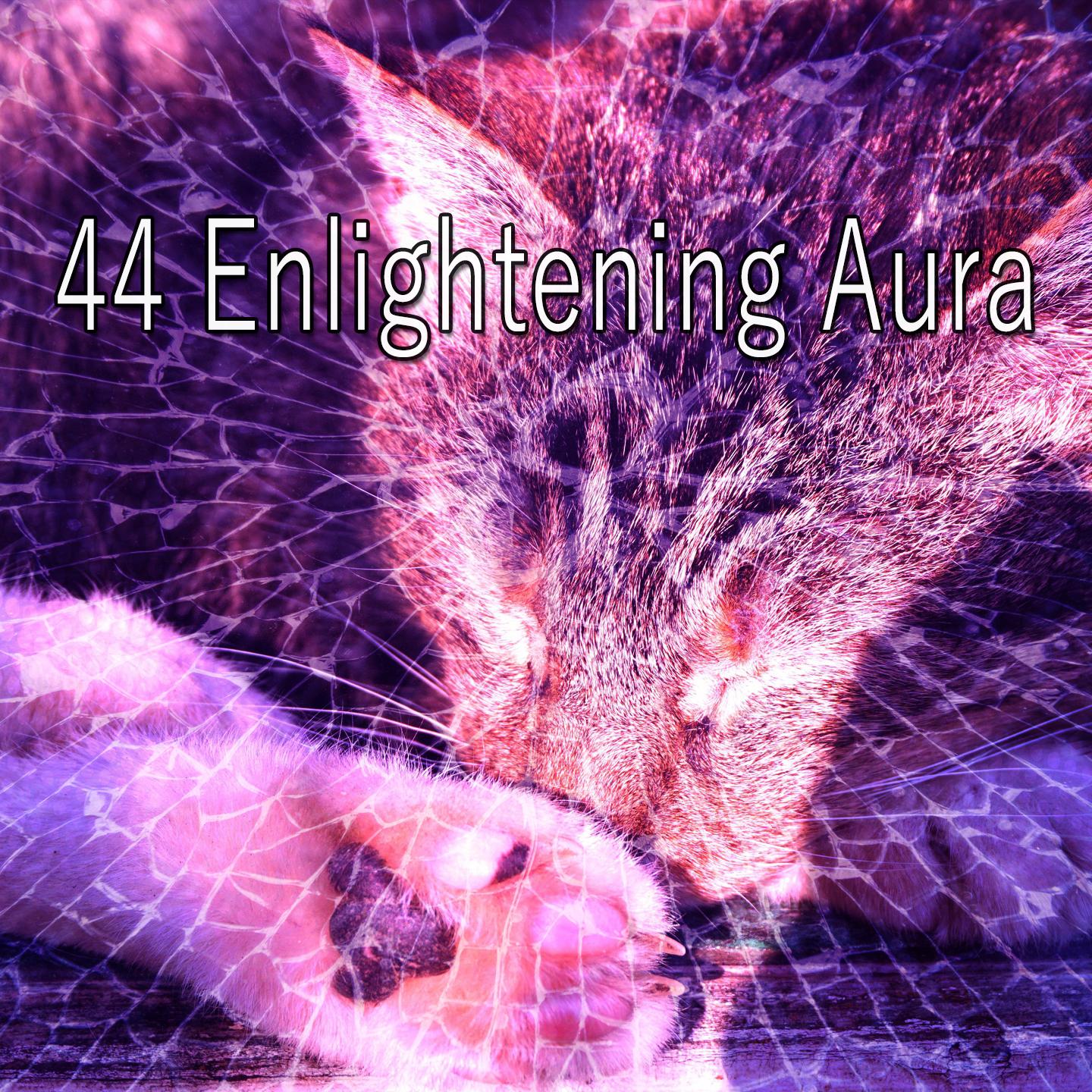 44 Enlightening Aura