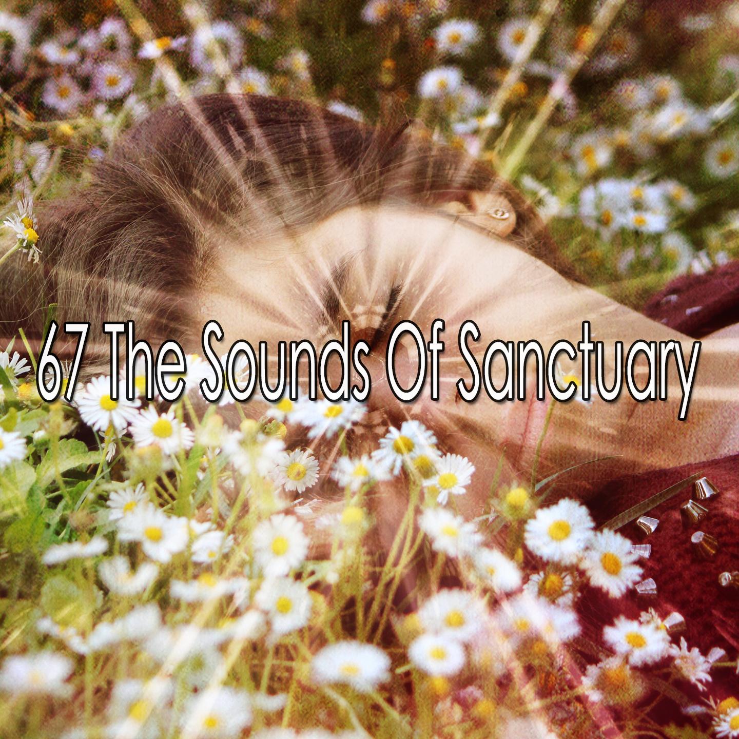 67 The Sounds of Sanctuary
