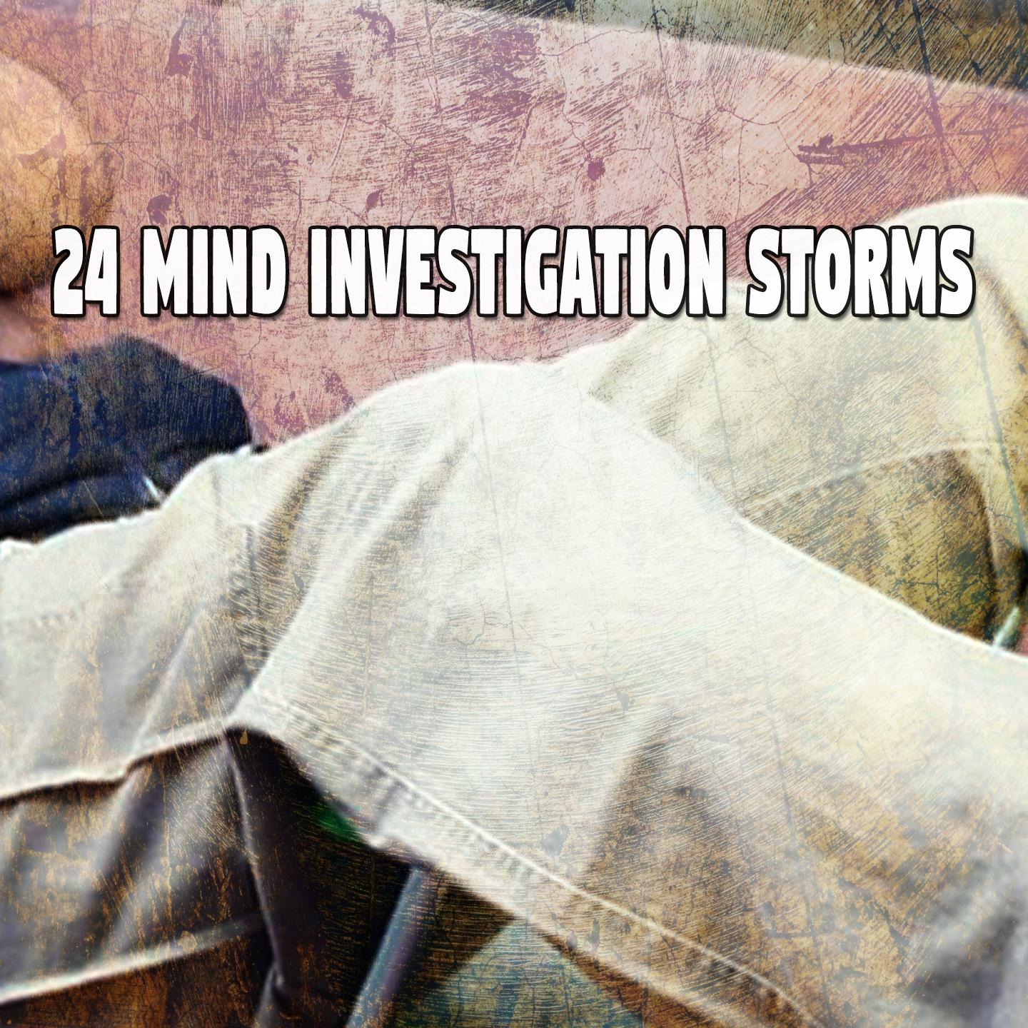 24 Mind Investigation Storms