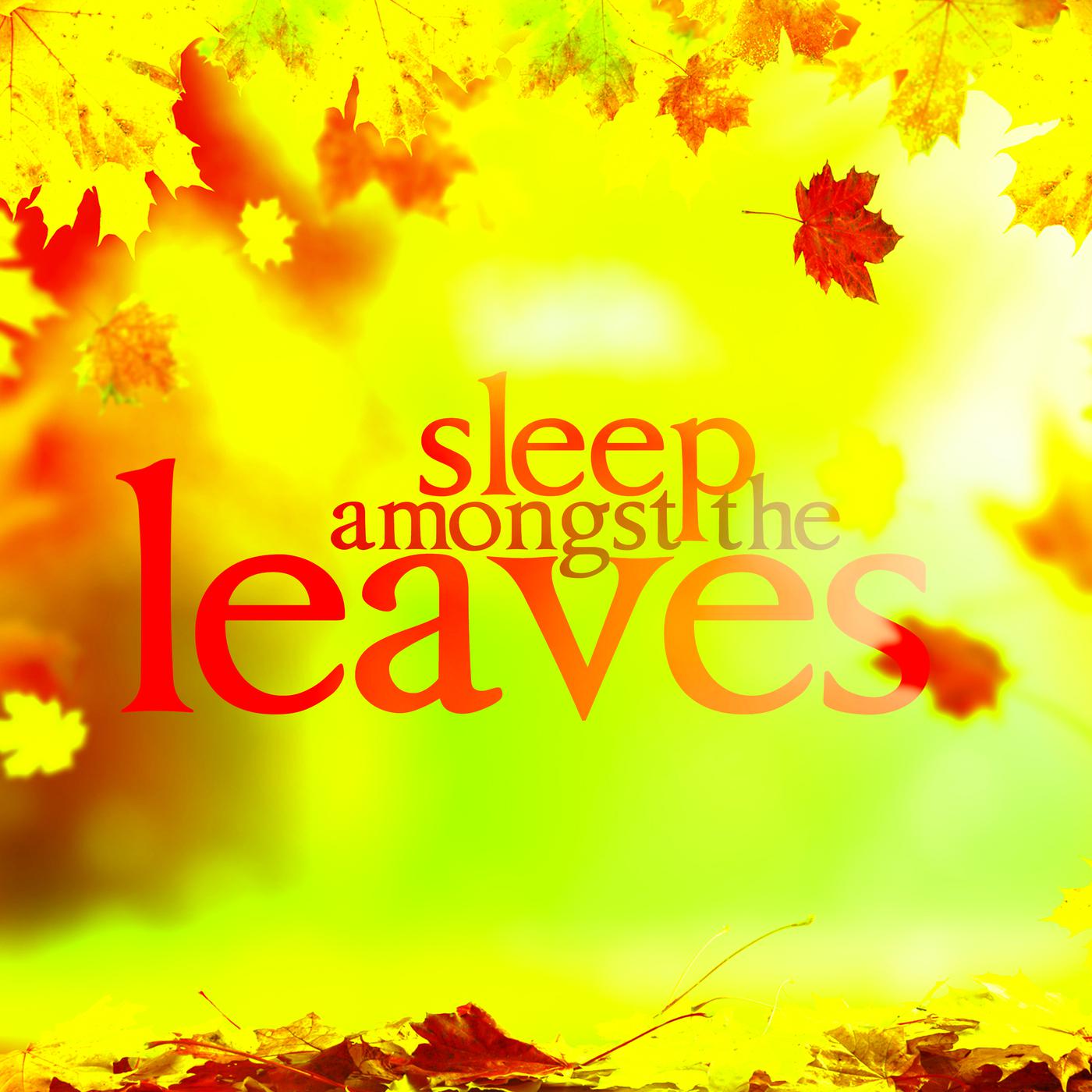 Sleep Amongst the Leaves